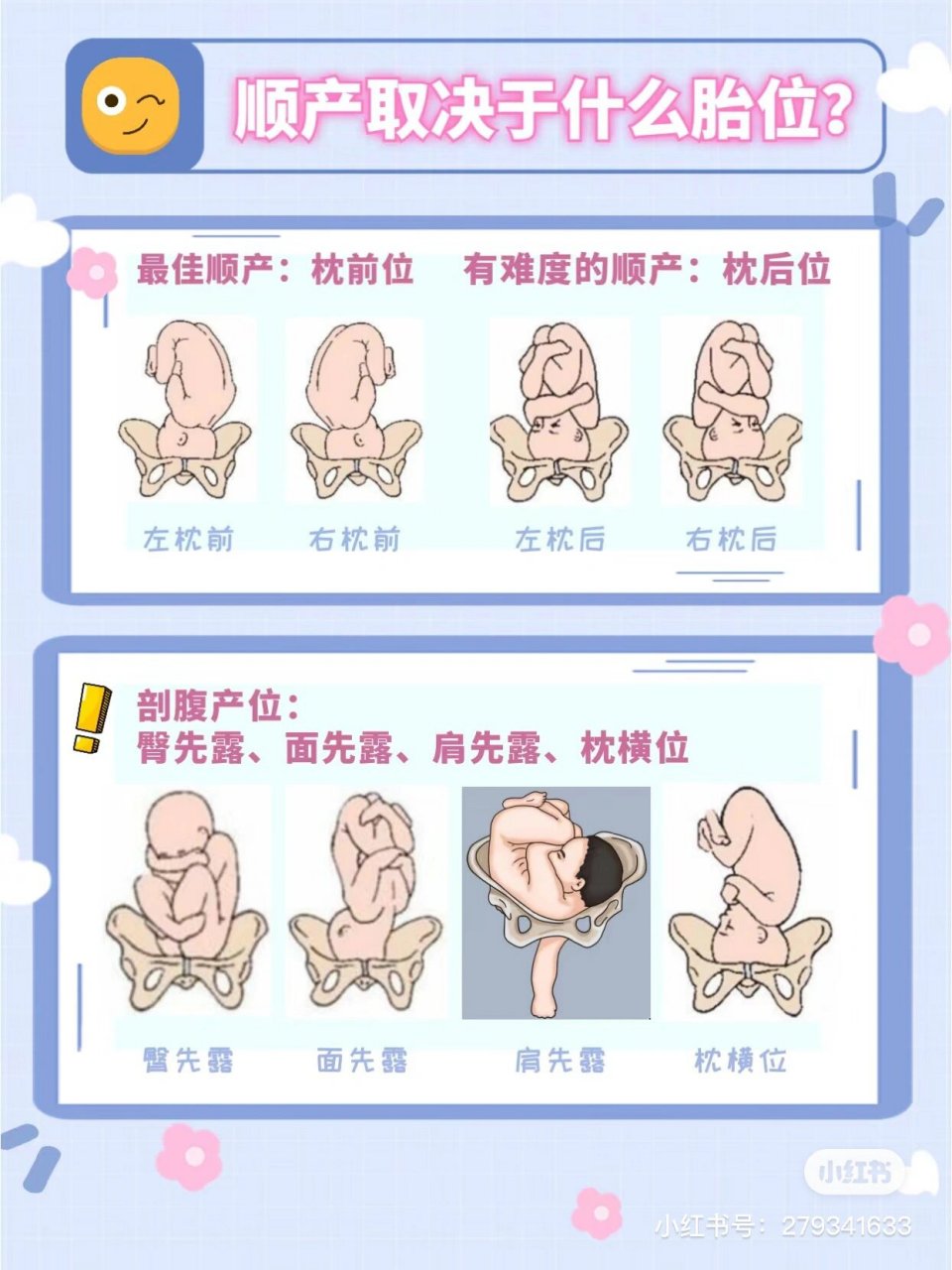 40 5今天拍b超变成了左枕横,上周还右枕前呢,老母亲的心真是操碎了