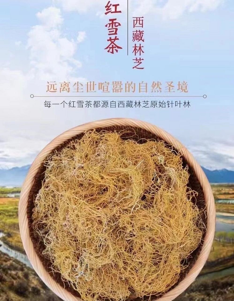 红雪茶 高原减肥神器,来自海拔4000米以上,采摘的野生,红雪茶中核心