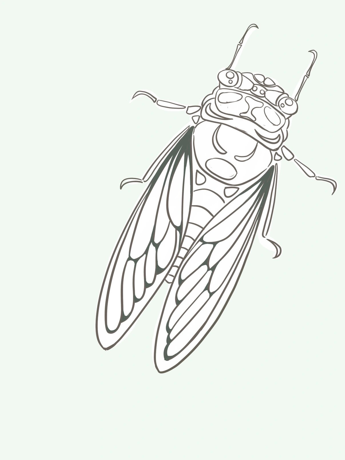 夏天主题儿童画知了,夏日蝉鸣儿童画