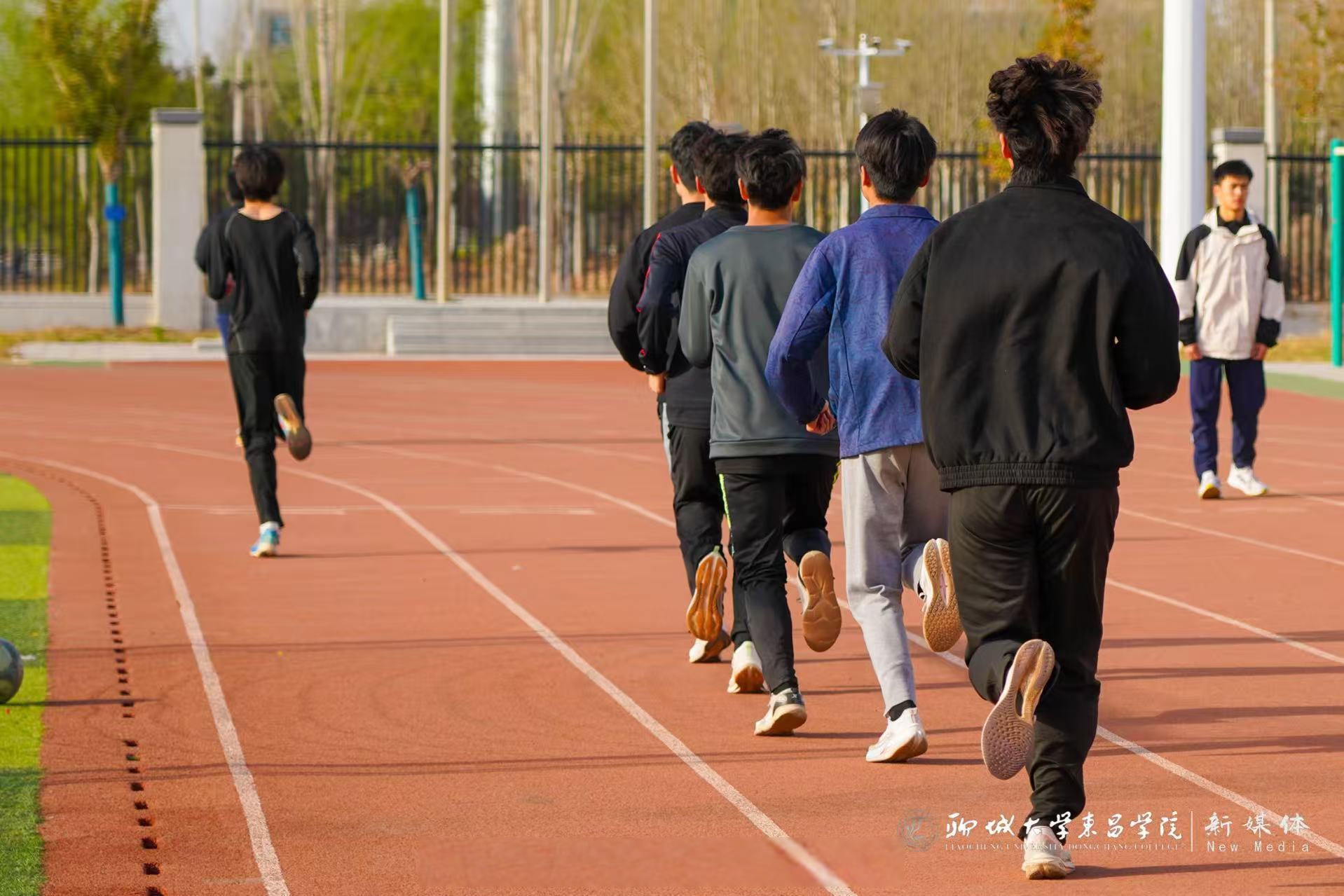活动 操场大学生冬天在操场跑步聊城大学东昌学院操场校园校园里晨跑