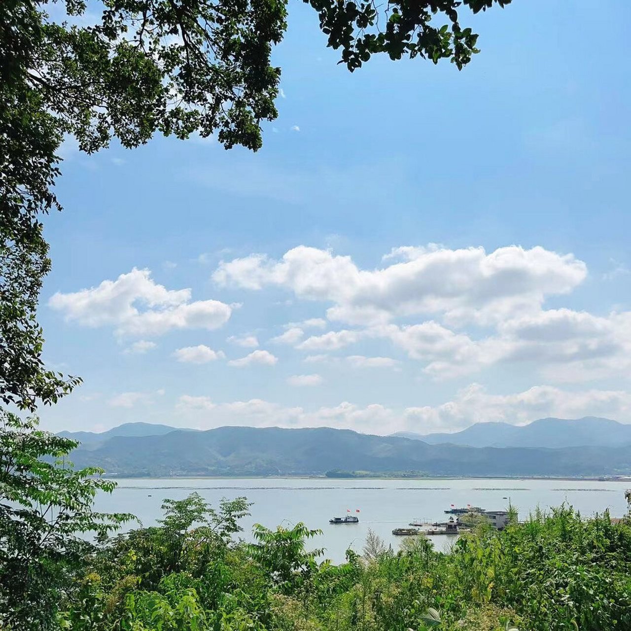 三五老友,笑闹生趣,岁月静好☘️ 宁海湾