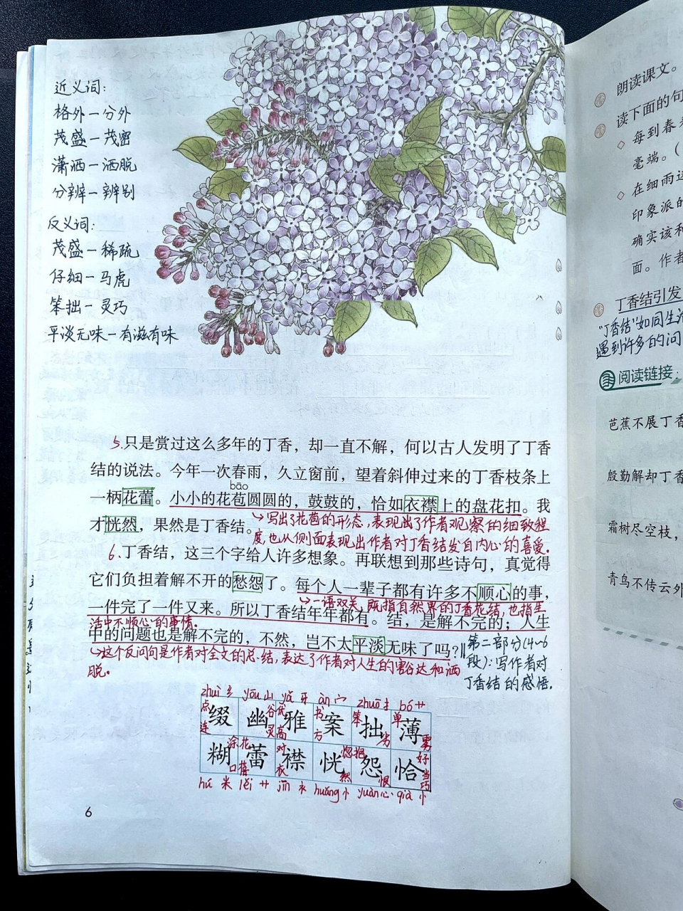 六上|六年级上册第2课《丁香结》课文笔记 小学语文六年级上册第2课