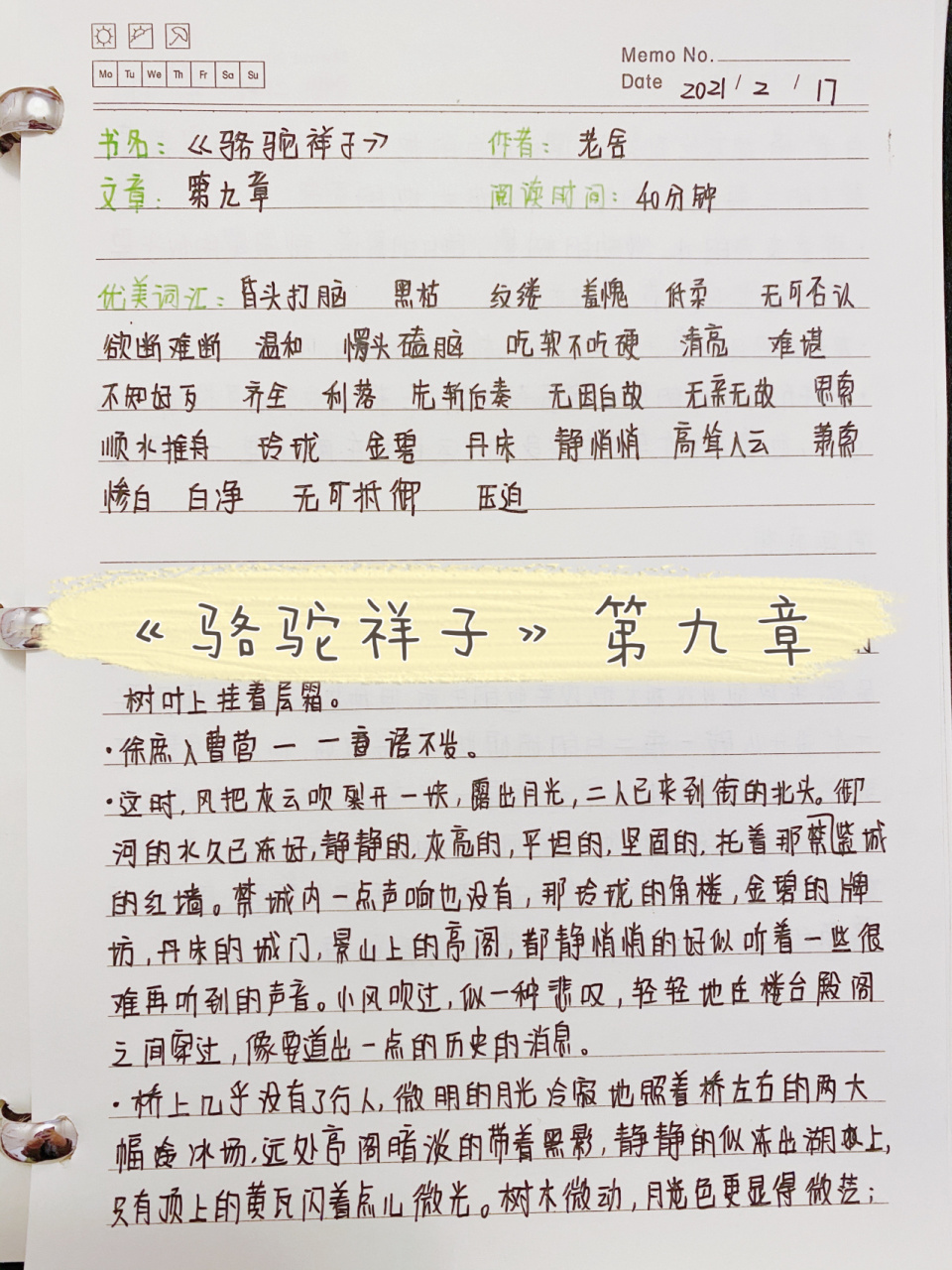 《骆驼祥子》读书笔记第九章 我必须承认生命中大部分时光是属于孤独