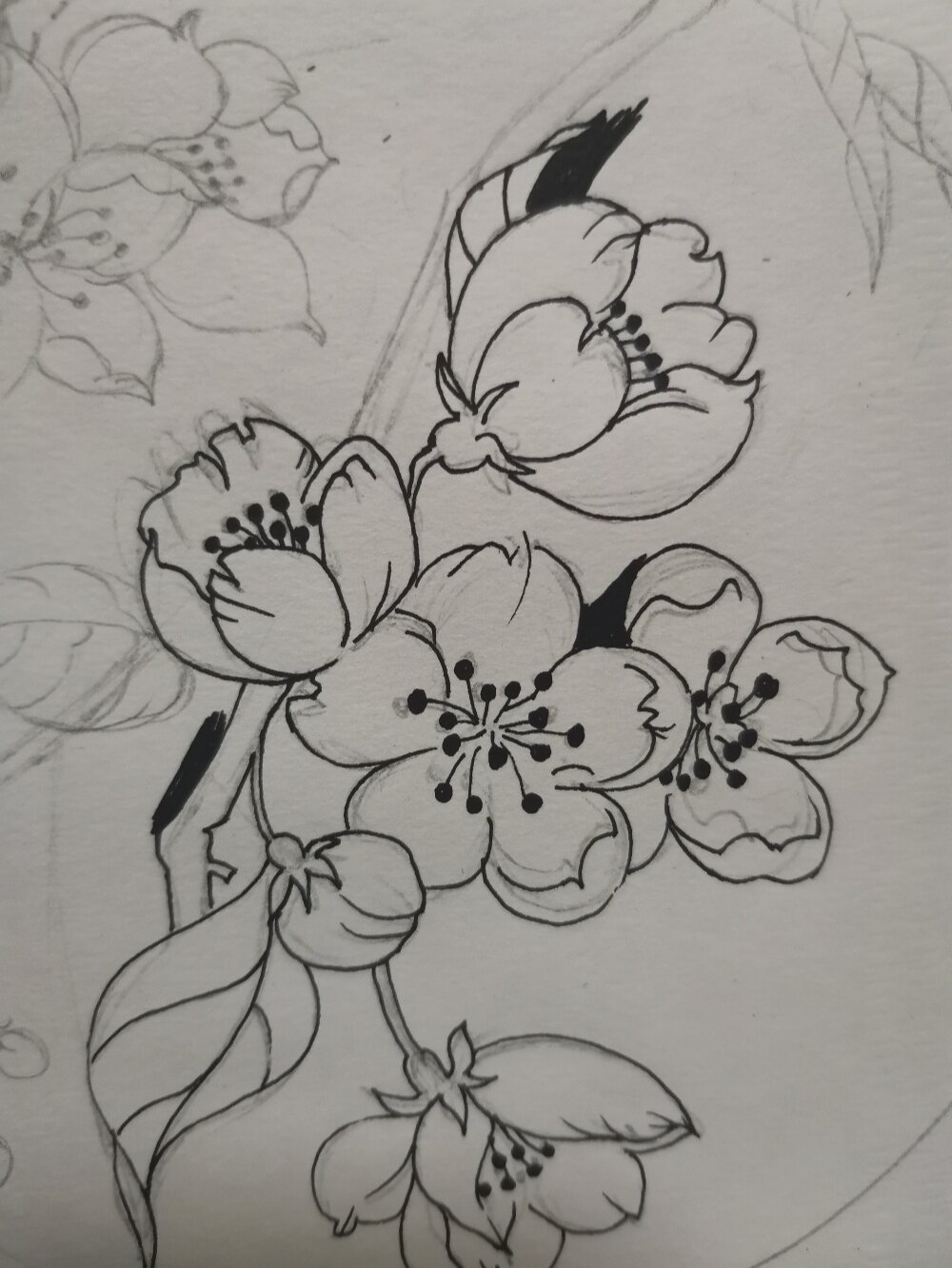 桃花黑白画 简笔画图片