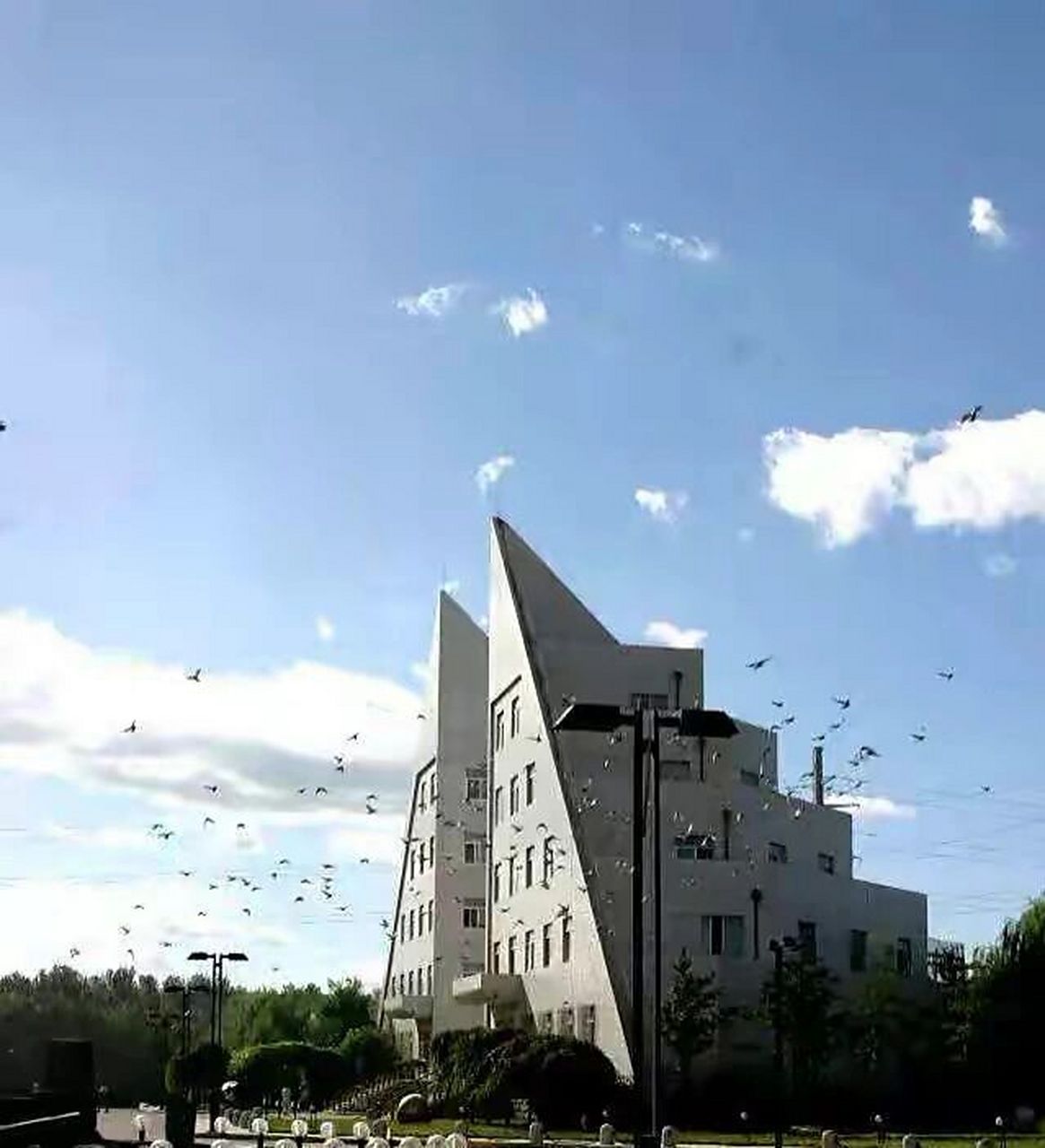 关于鲁美附中 鲁迅美术学院附属中等美术学校隶属鲁迅美术学院,以为