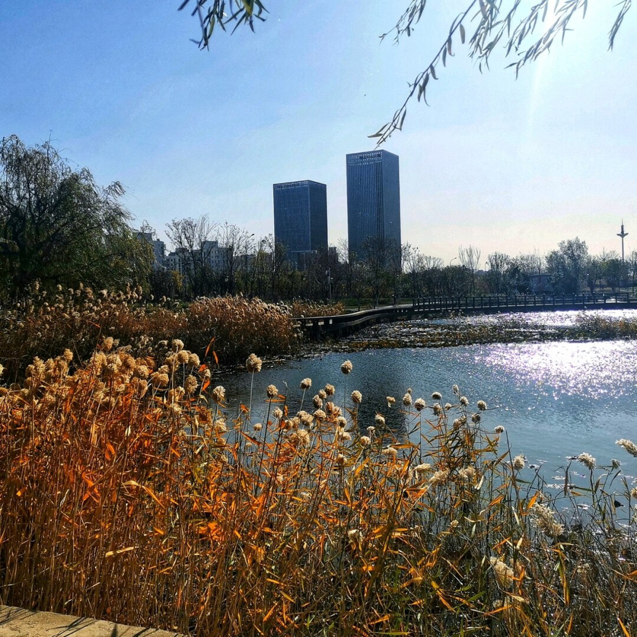 冬日恋歌,值得纪念的一天 初冬的梅江公园,寒风凛冽,人迹罕至,心如