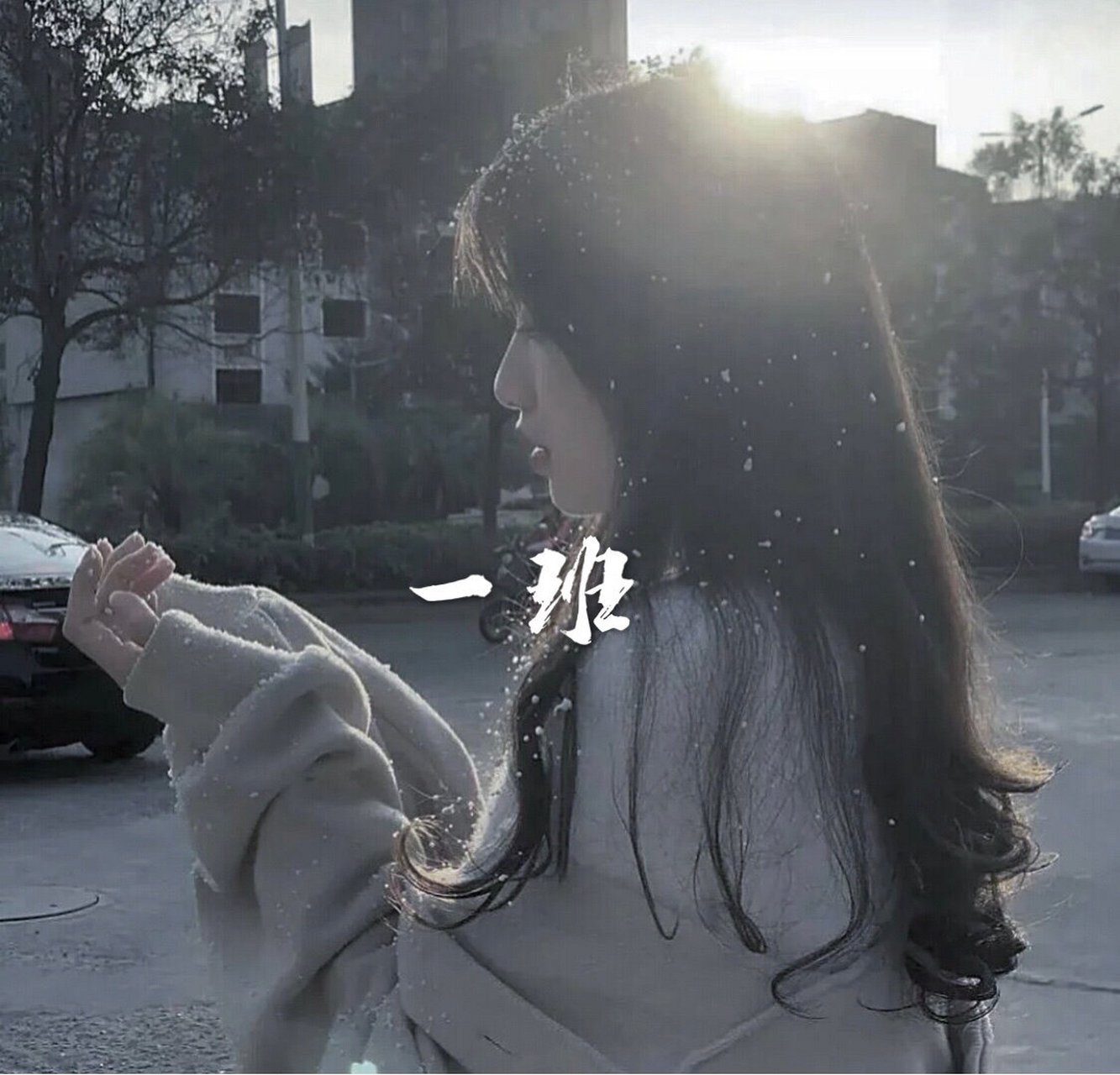 低谷期女生班级群头像 不得不说柚柚的图太好看了