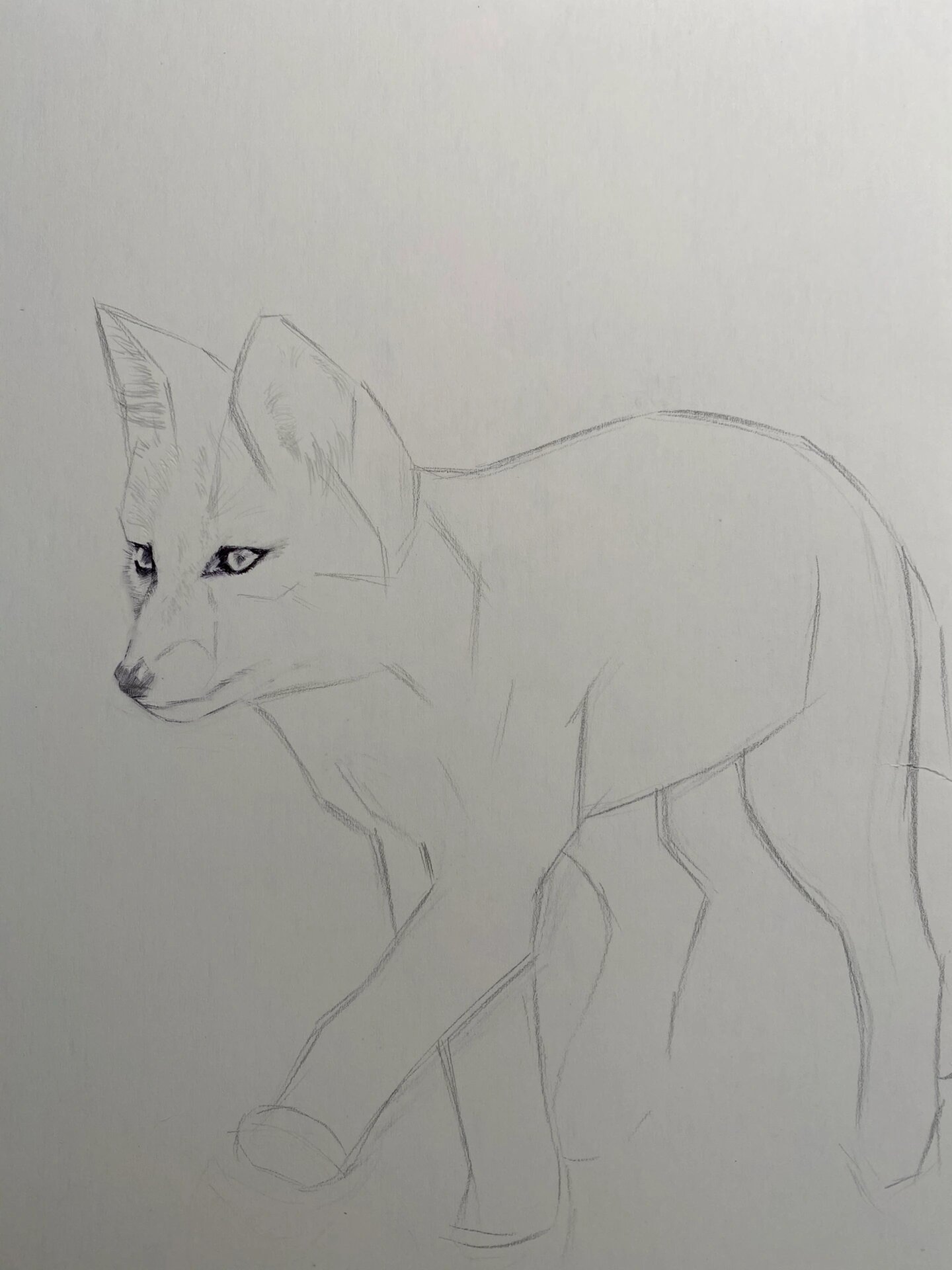 小狐狸 及一些作画步骤