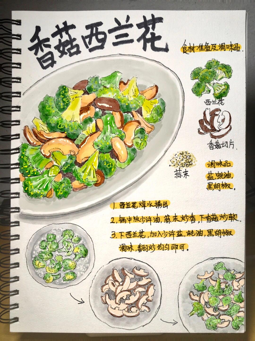 手绘食谱香菇西蓝花 西蓝花属十字花科,营养丰富,日本的一项研究显示