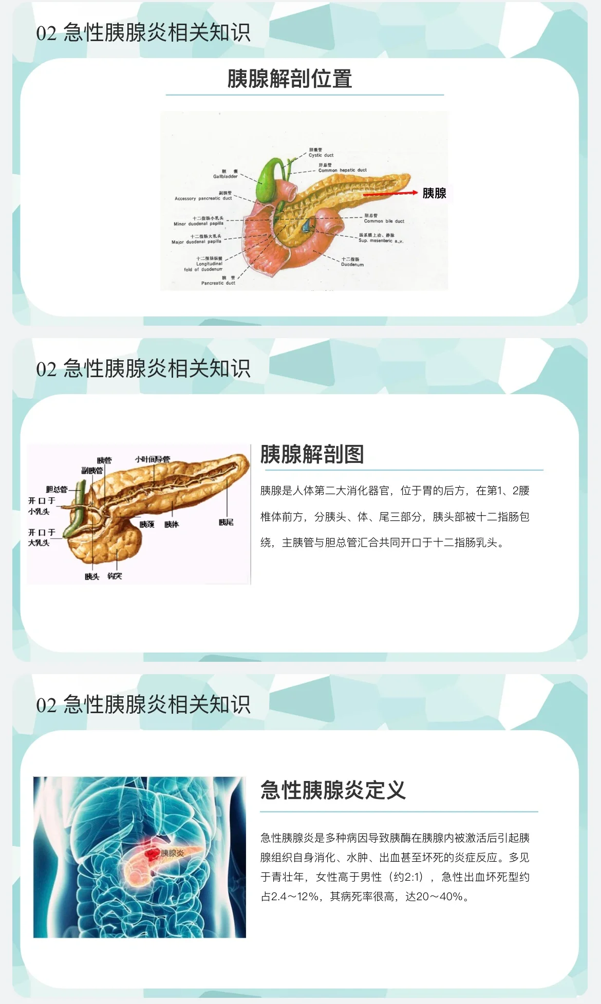 胰腺炎怎么得的图片