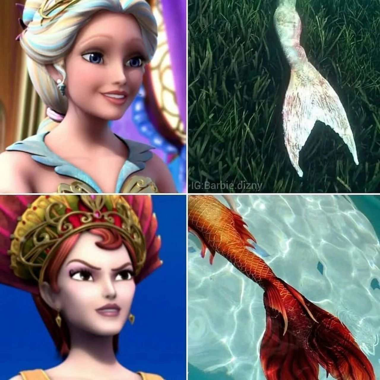 芭比美人鱼尾巴图鉴 🧜🏻‍♀ 1 5芭比公主电影中出现的美人鱼