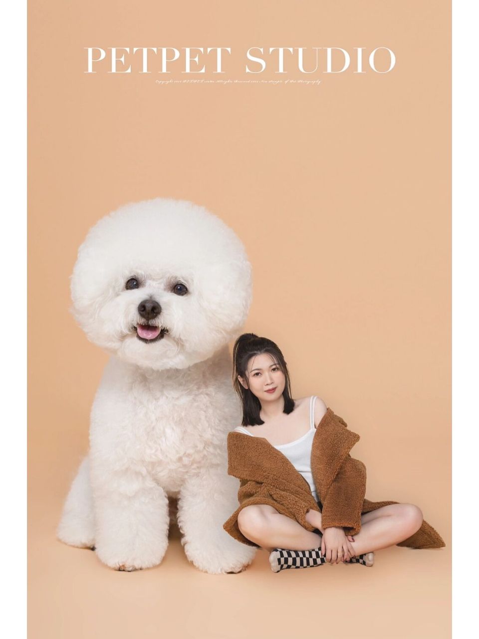 比熊人宠写真|巨型狗狗创意摄影 一间petpet·studio03 明星宝贝