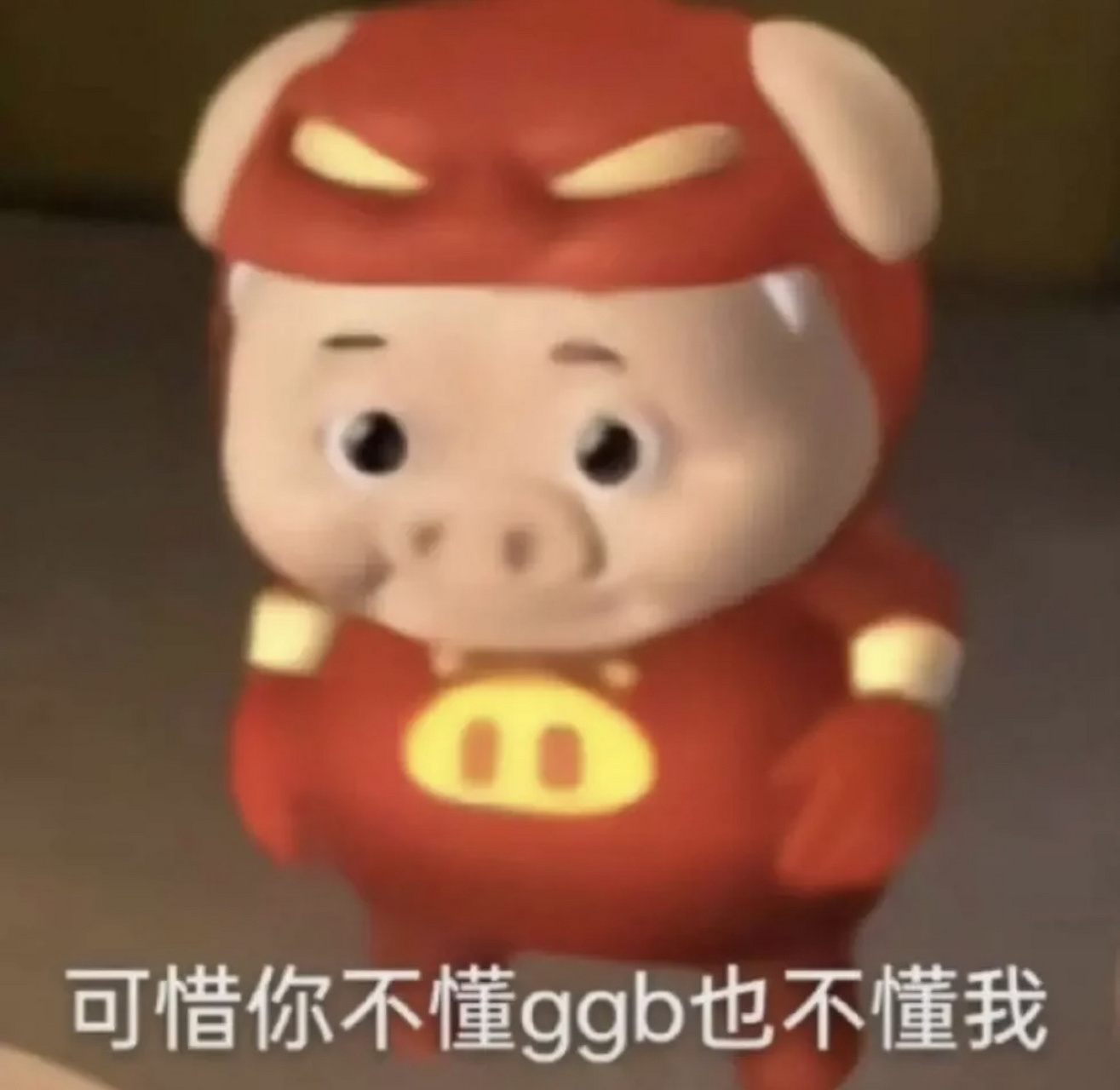 可惜你不懂ggb 更不懂我