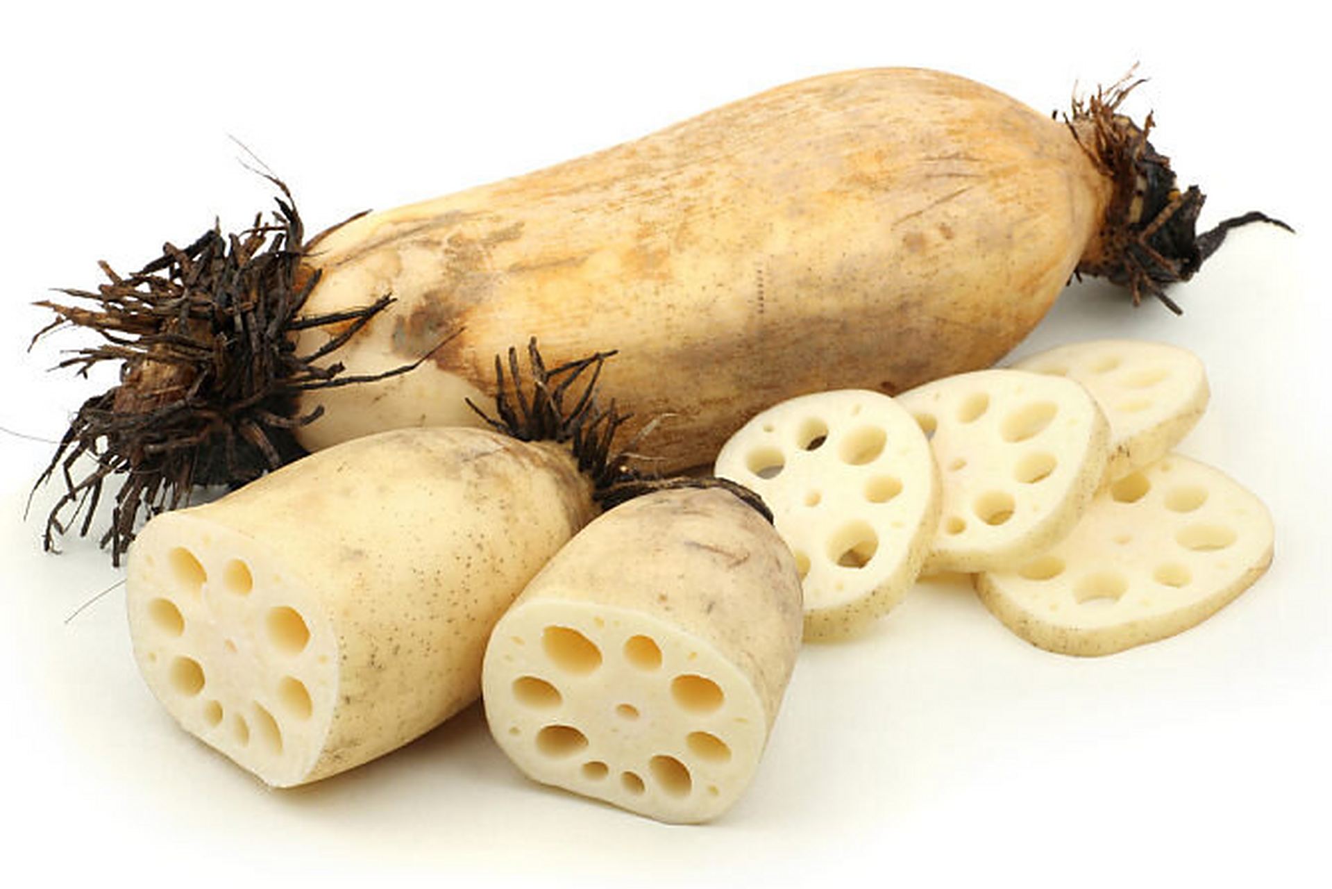 莲藕素材分享 也可以写生实物