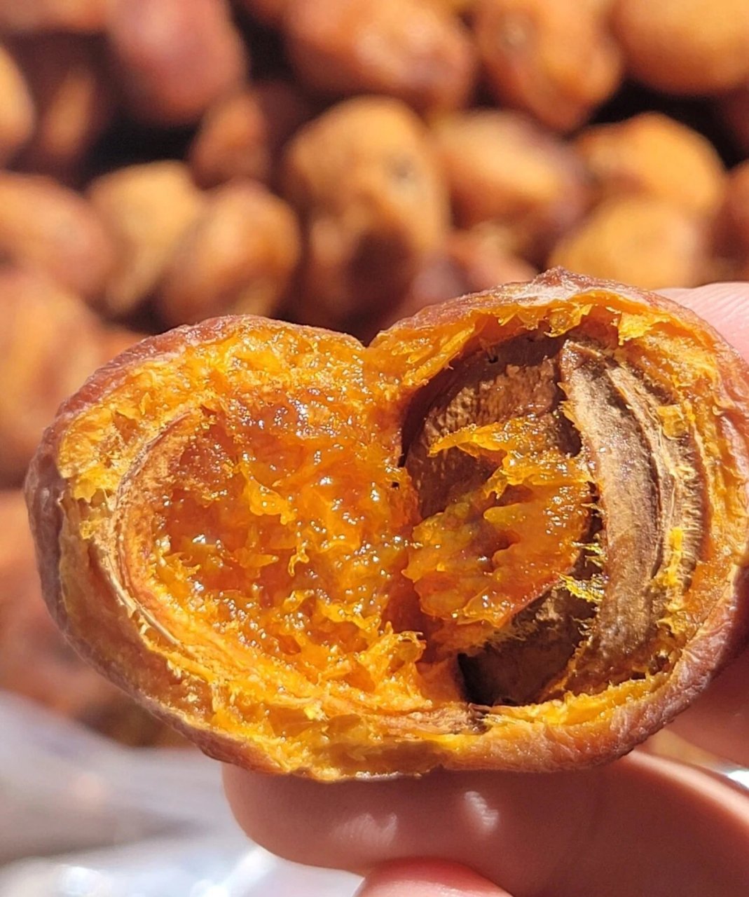 新疆特产|超甜的树上吊杏干 树上吊杏干,选取最香甜可口的阿克苏红杏