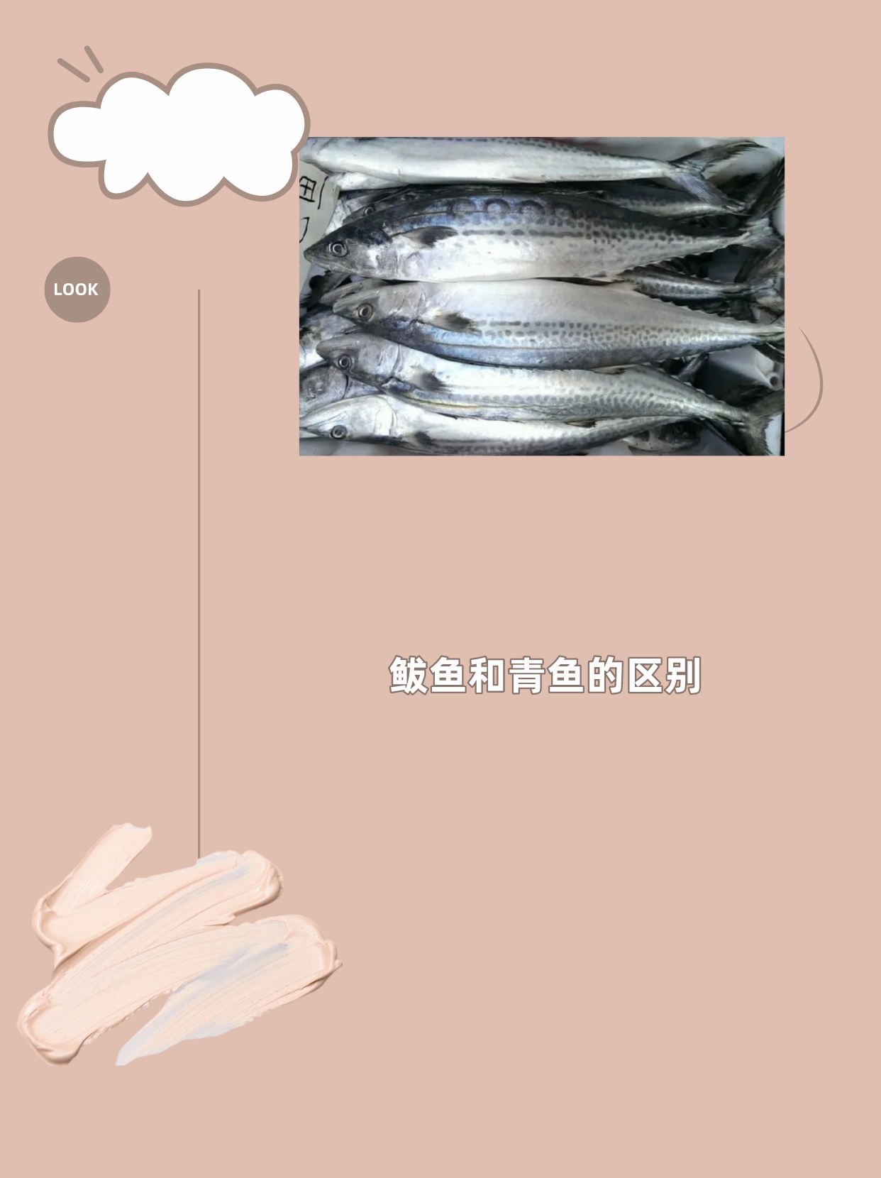 鲅鱼和青鱼的区别 鲅鱼和青鱼在以下三个方面存在区别:  1.