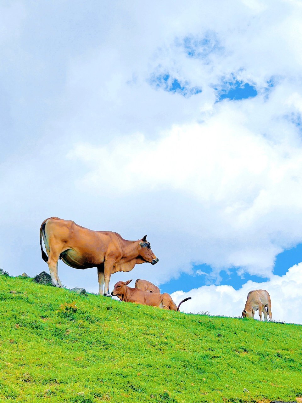 福州大姆山草场【攻略】重要6015 【出行】: 1.
