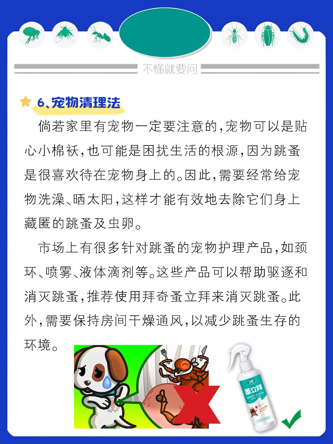 如何消灭跳蚤?6个方法教你彻底灭掉跳蚤