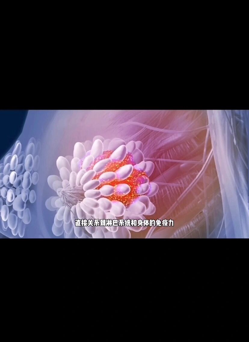 乳头为什么会变黑