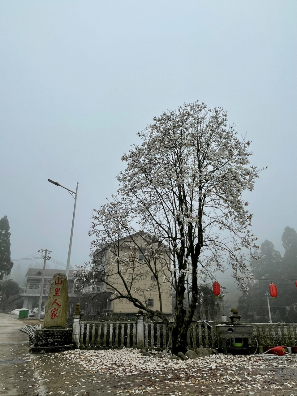 走近西坑,感受自然的馈赠～ 铅山县武夷山镇西坑村,是"全国美丽乡村"
