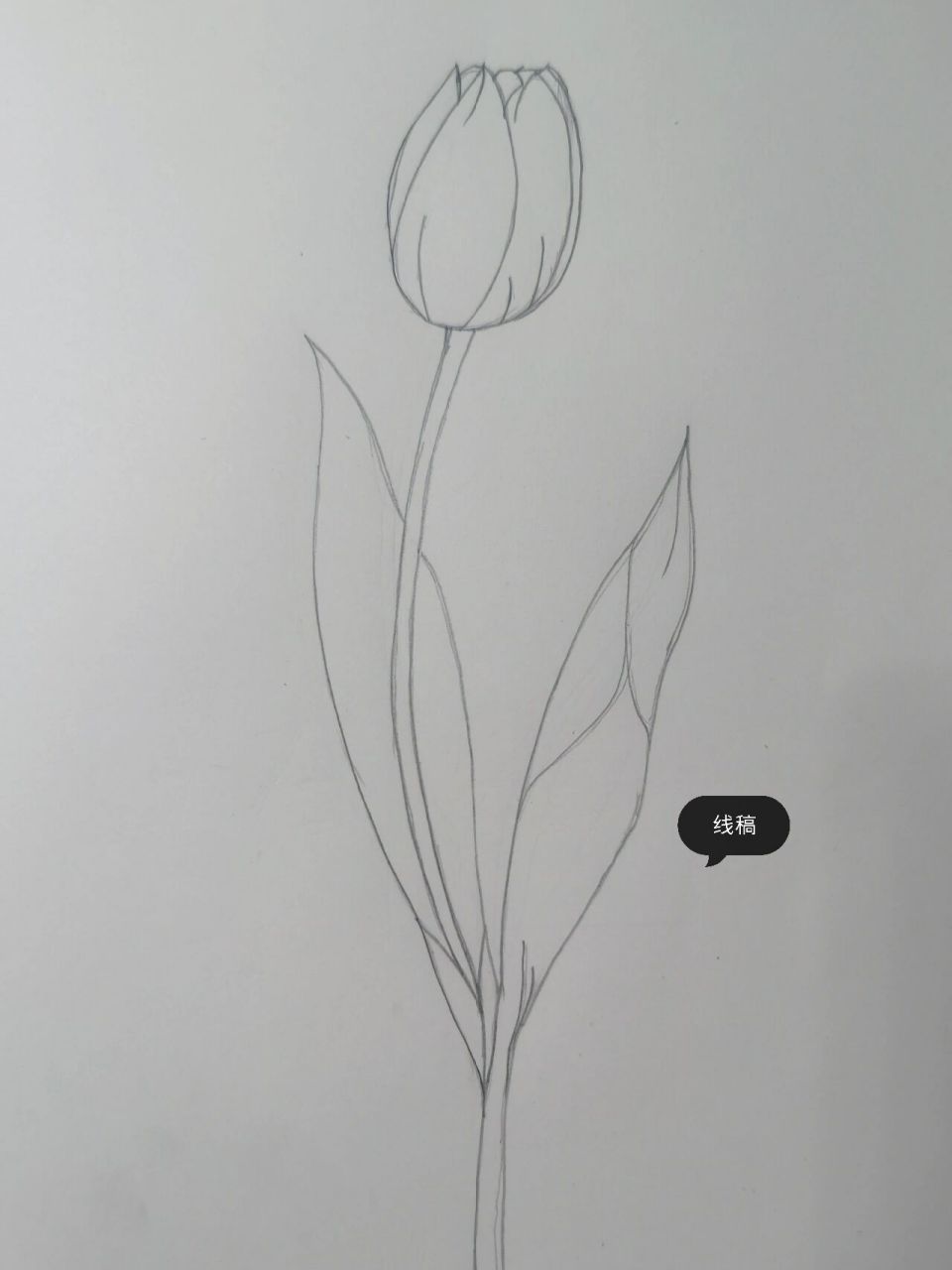 21 骤降温前的最后一天 记录未开的花骨朵等待来年的开春