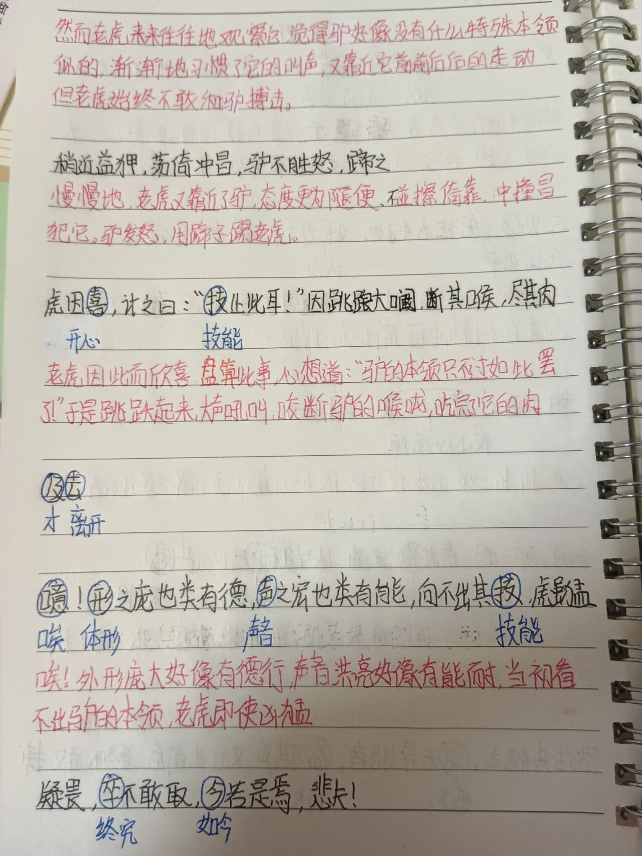 黔之驴翻译图片