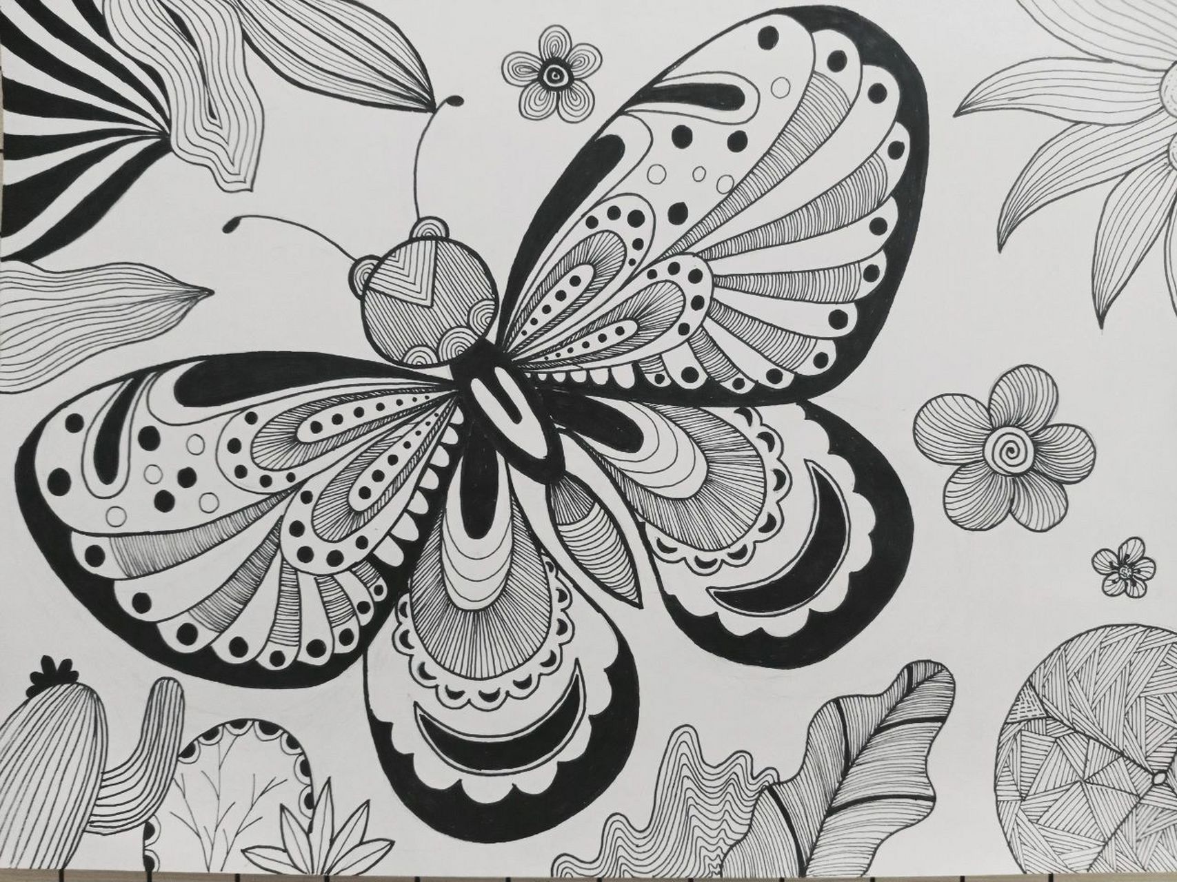 《蝴蝶》线描画绘画过程