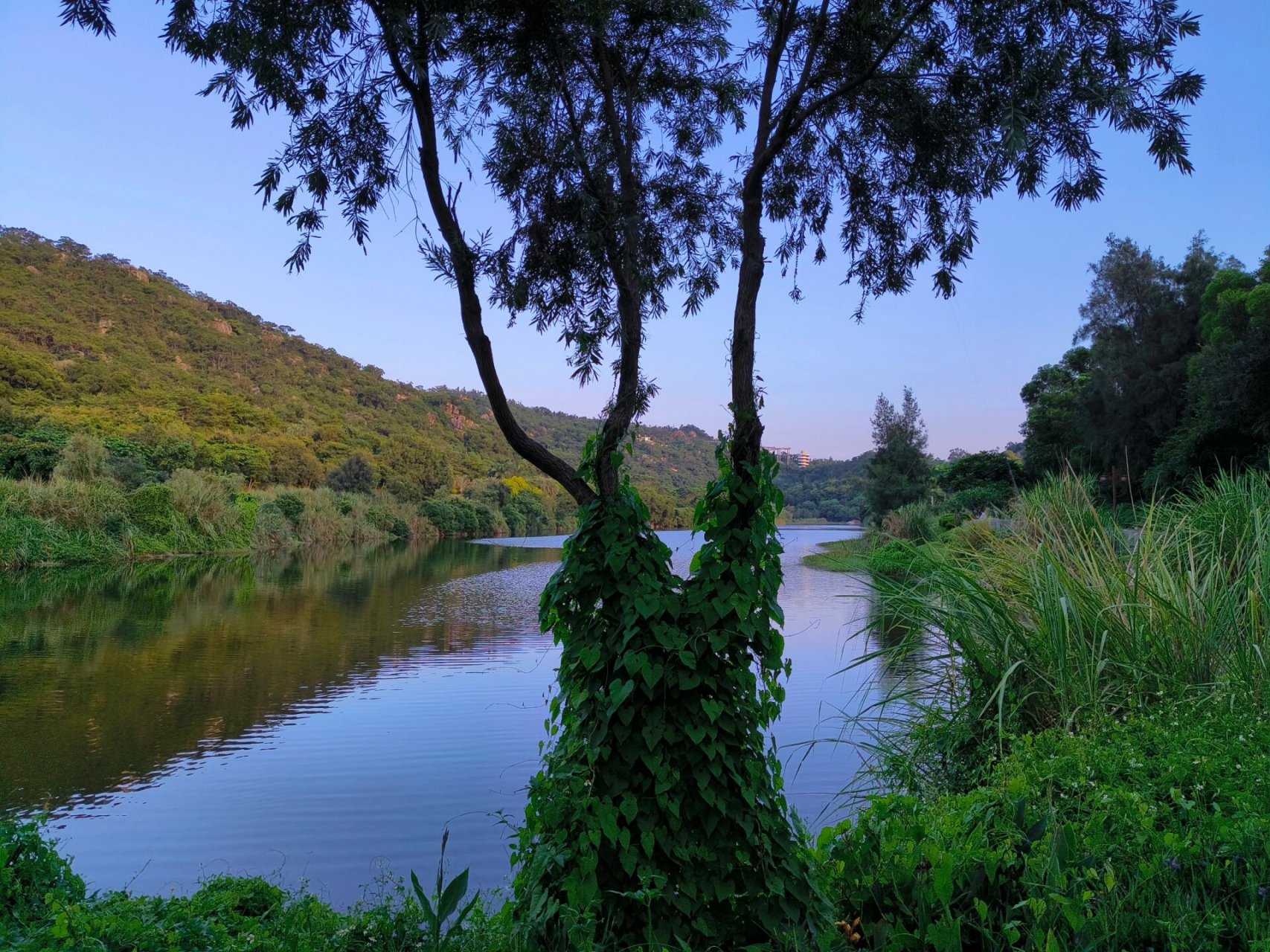 厦门上李水库公园