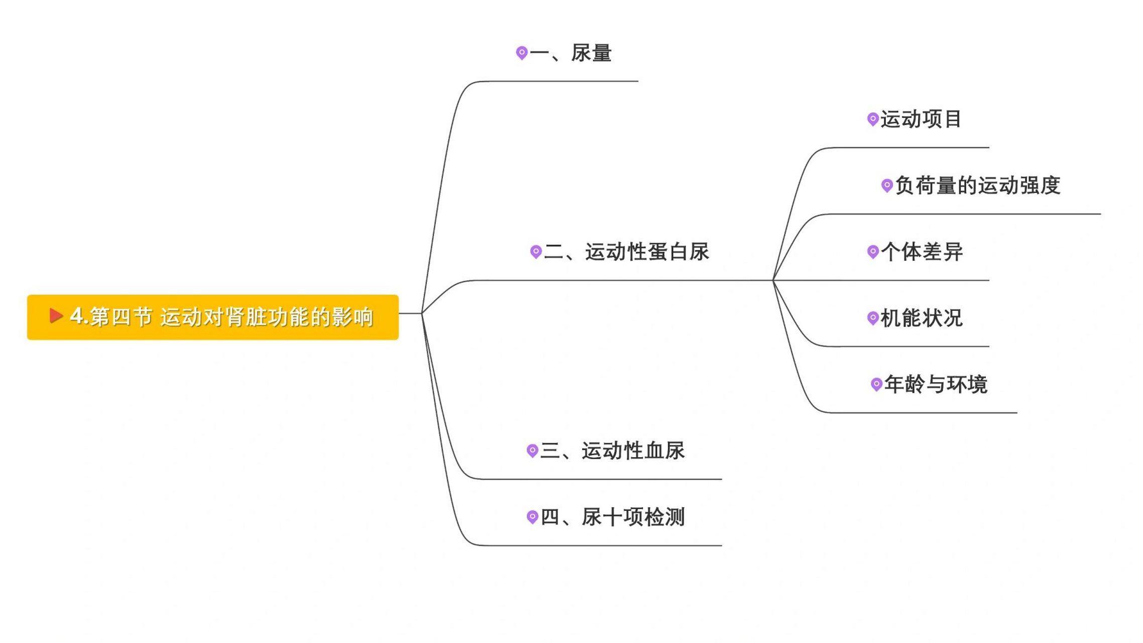 肾脏的结构思维导图图片