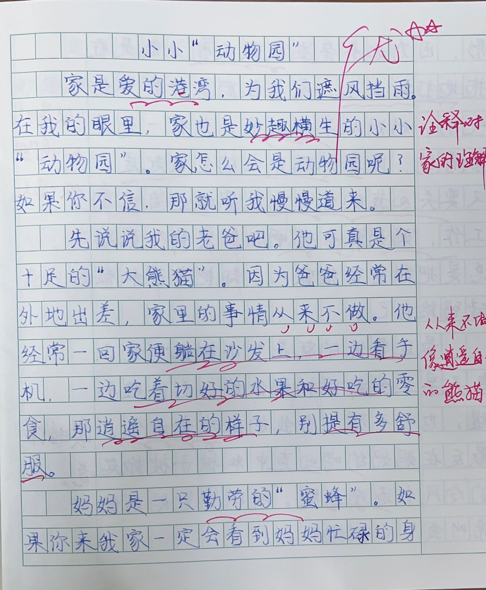 动物之家作文图片