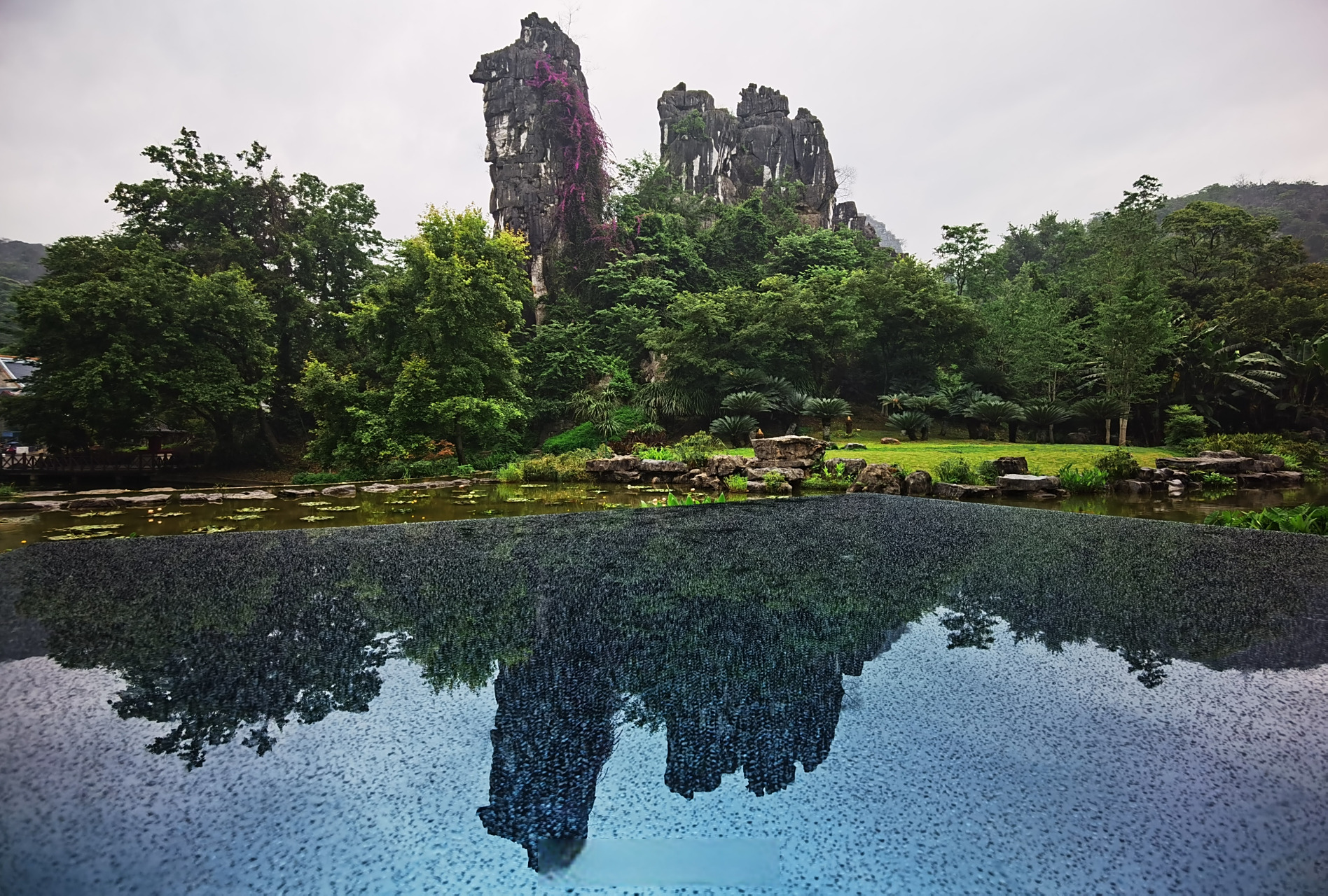 桂林#骆驼山位于七星公园内,绝似一头骆驼,亦是桂林市经典地标.