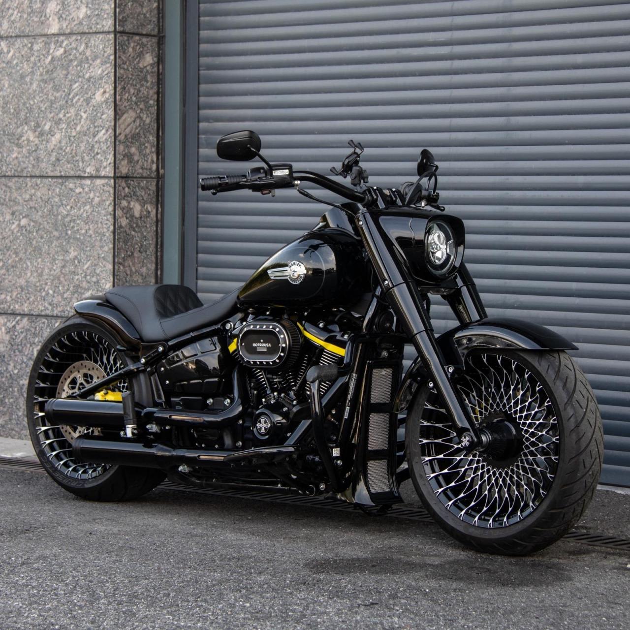 肥仔黑武士/黄蜘蛛.哈雷彗星出品 每个男人都有一个机车梦