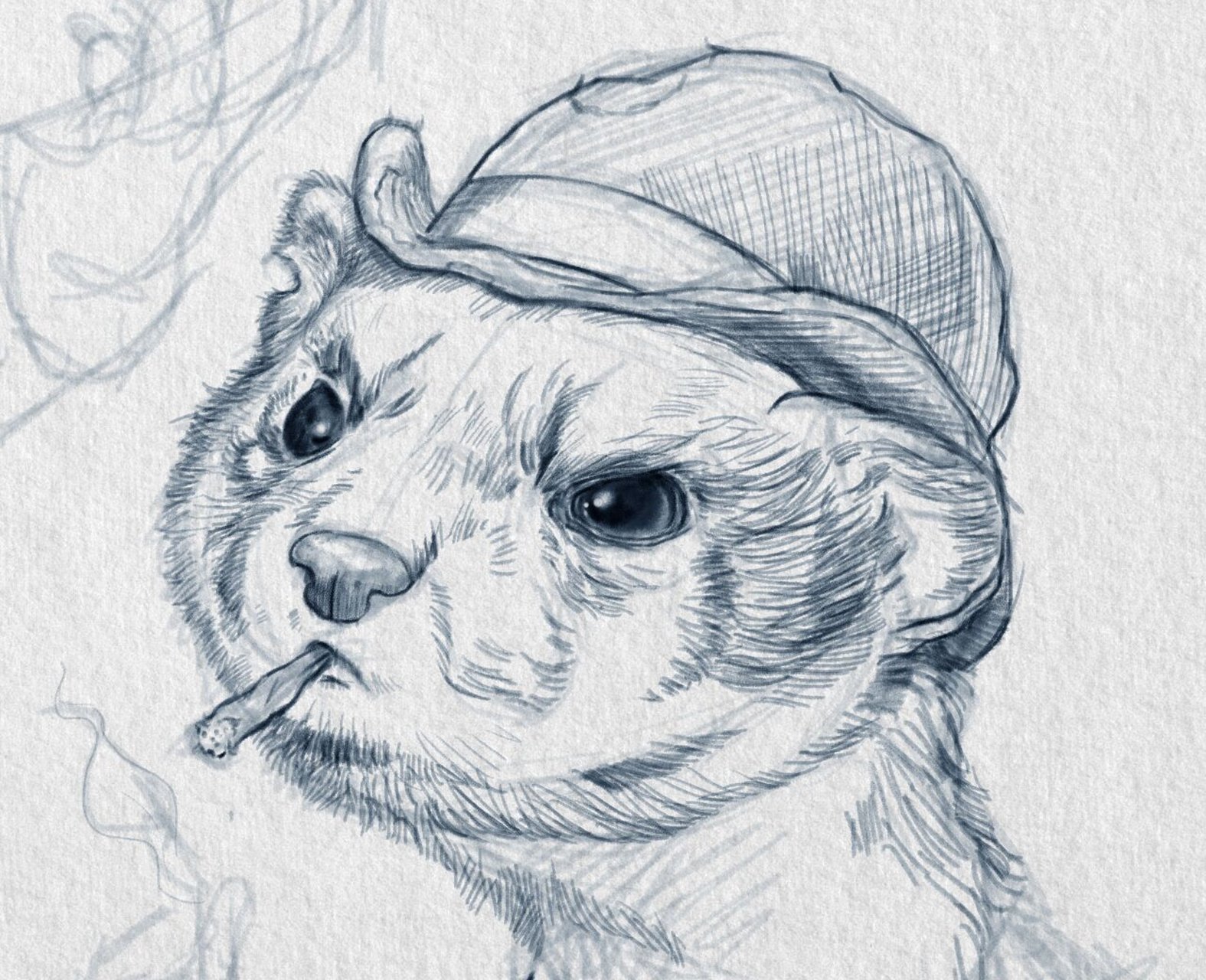 02黄鼬,又名黄鼠狼,主要分布在亚洲.