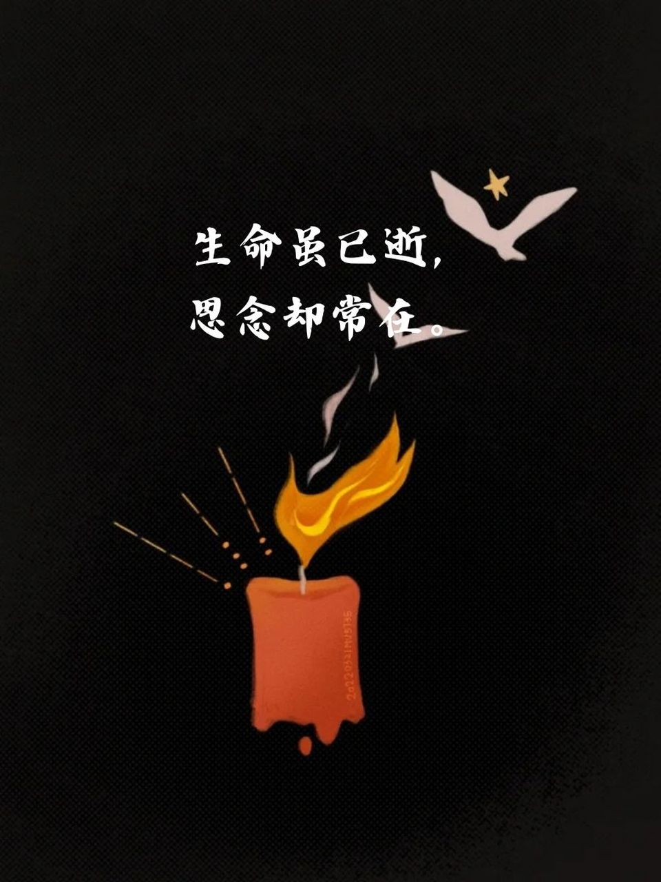 9415 悼念逝去的英灵,缅怀永恒的回忆.