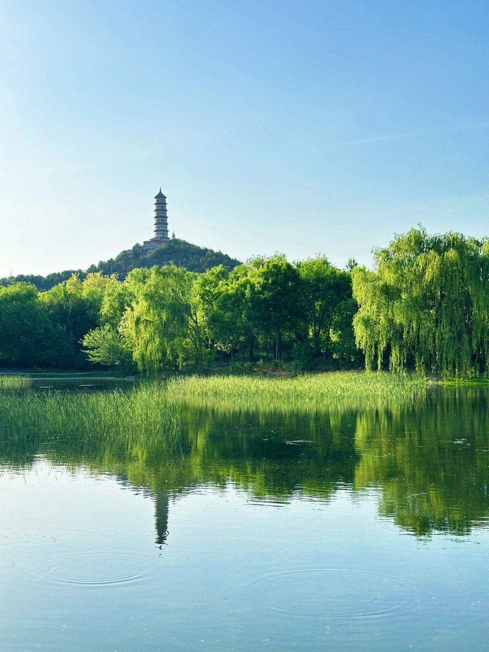 北京免费郊野公园大全图片