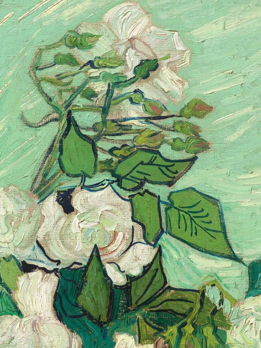 梵高《玫瑰》绚烂的生命庆典