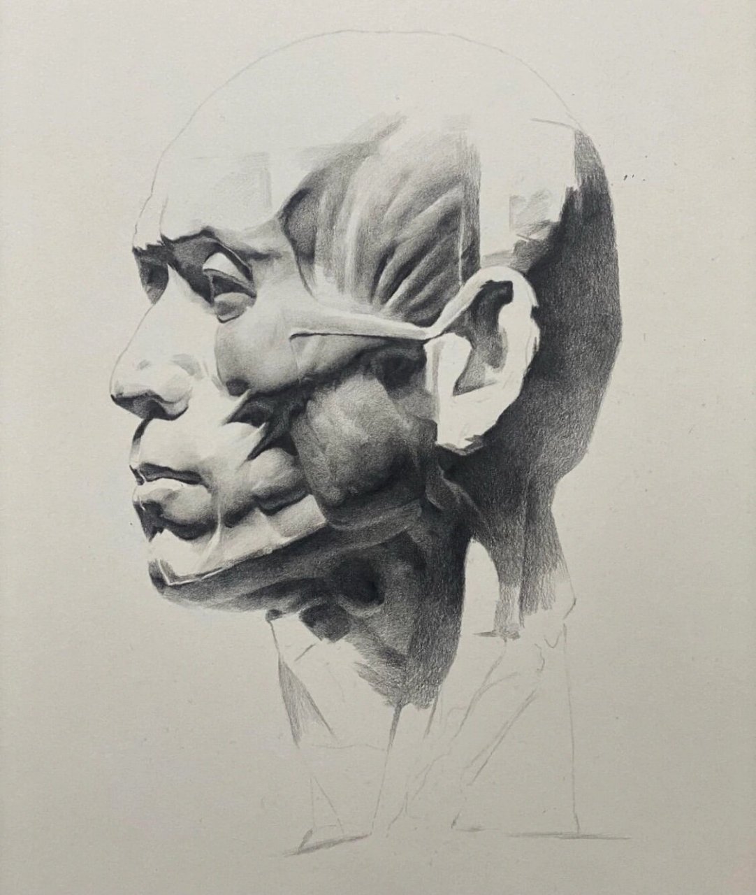 素描石膏头骨肌肉(含步骤)