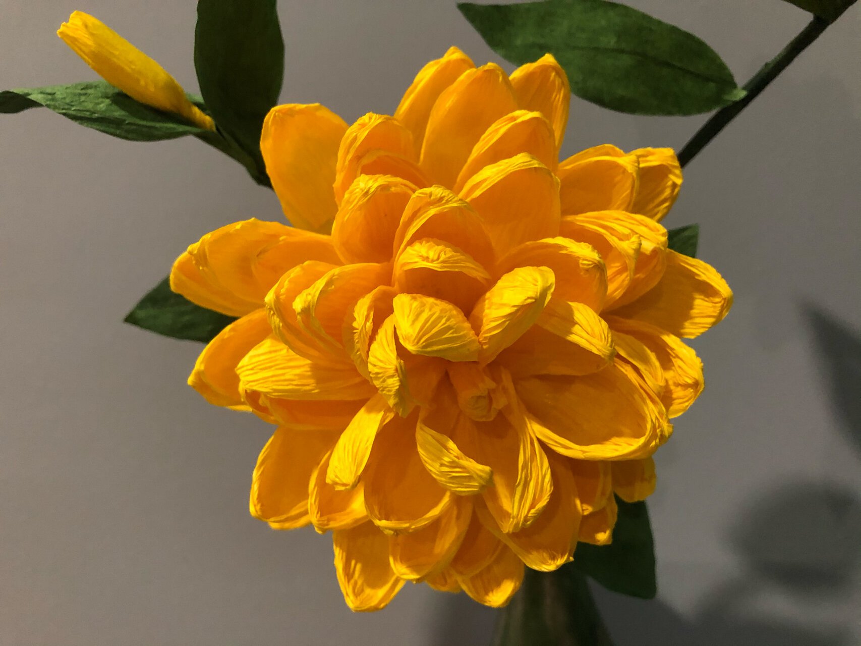 手工纸藤花,今天来交作业 材料:皱纹纸 工具:白色乳胶,剪刀,铁丝 苹果