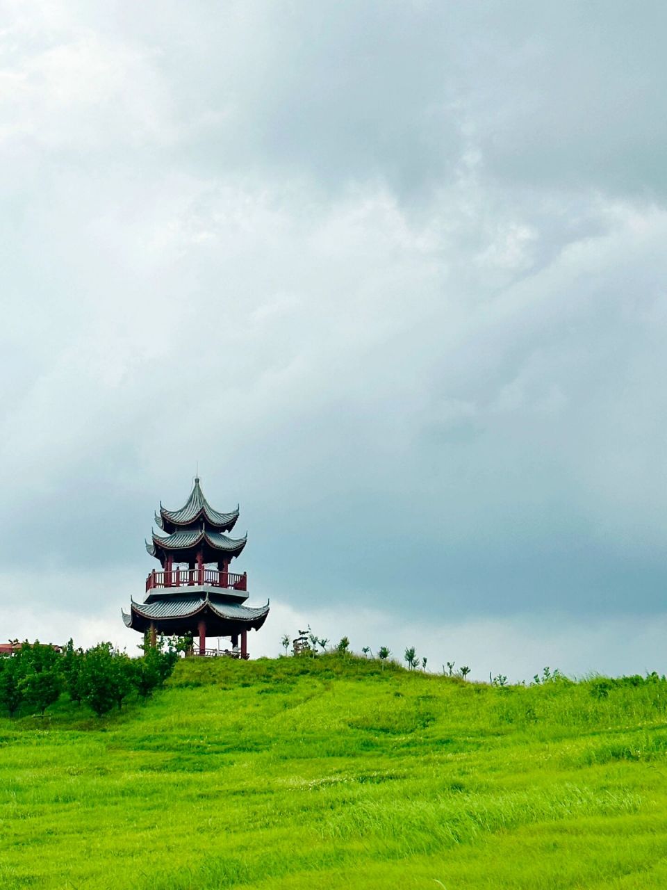 泗阳成子湖度假区 今天去看了不一样的成子湖 骑上租的电动车,带上娃