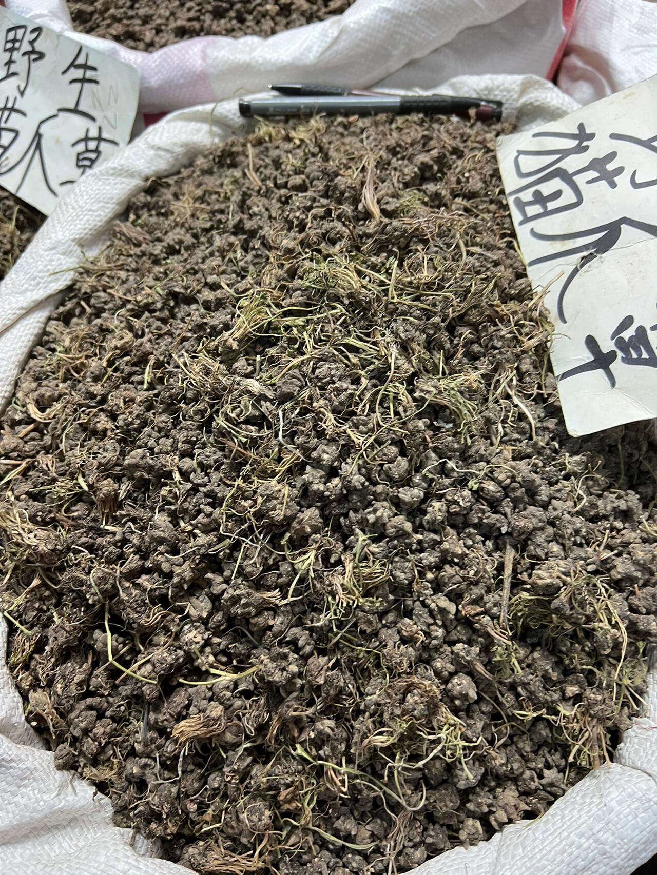 河南信阳商城县猫爪草货源走销不畅