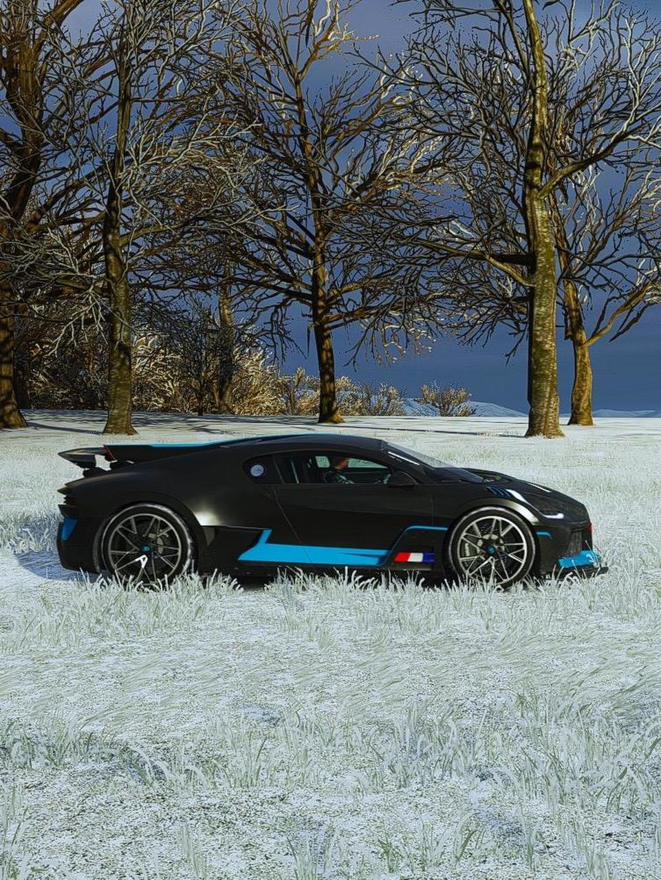 地平线4-布加迪divo.91车主