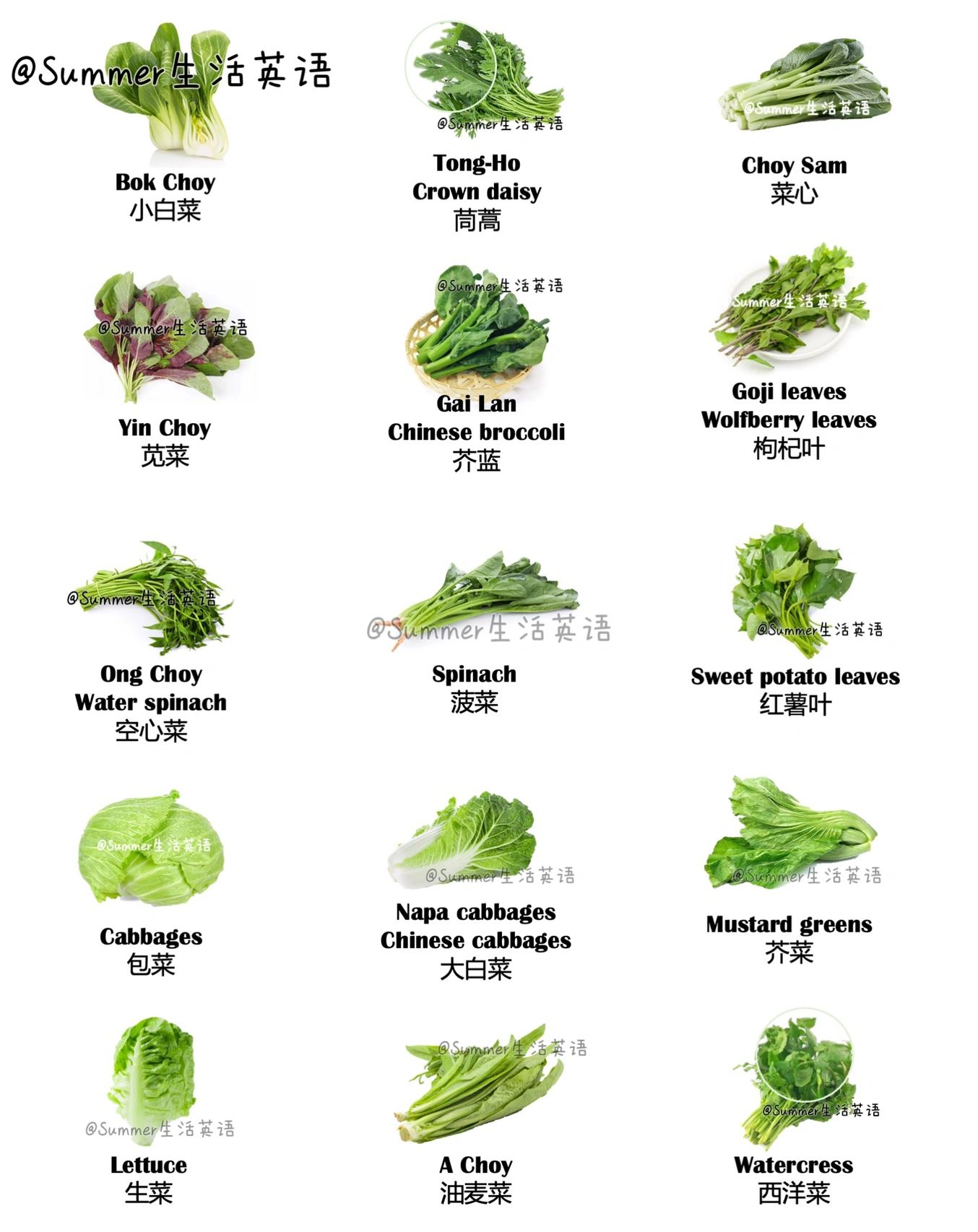 所有青菜的英语,广东人不战而胜的英语单词