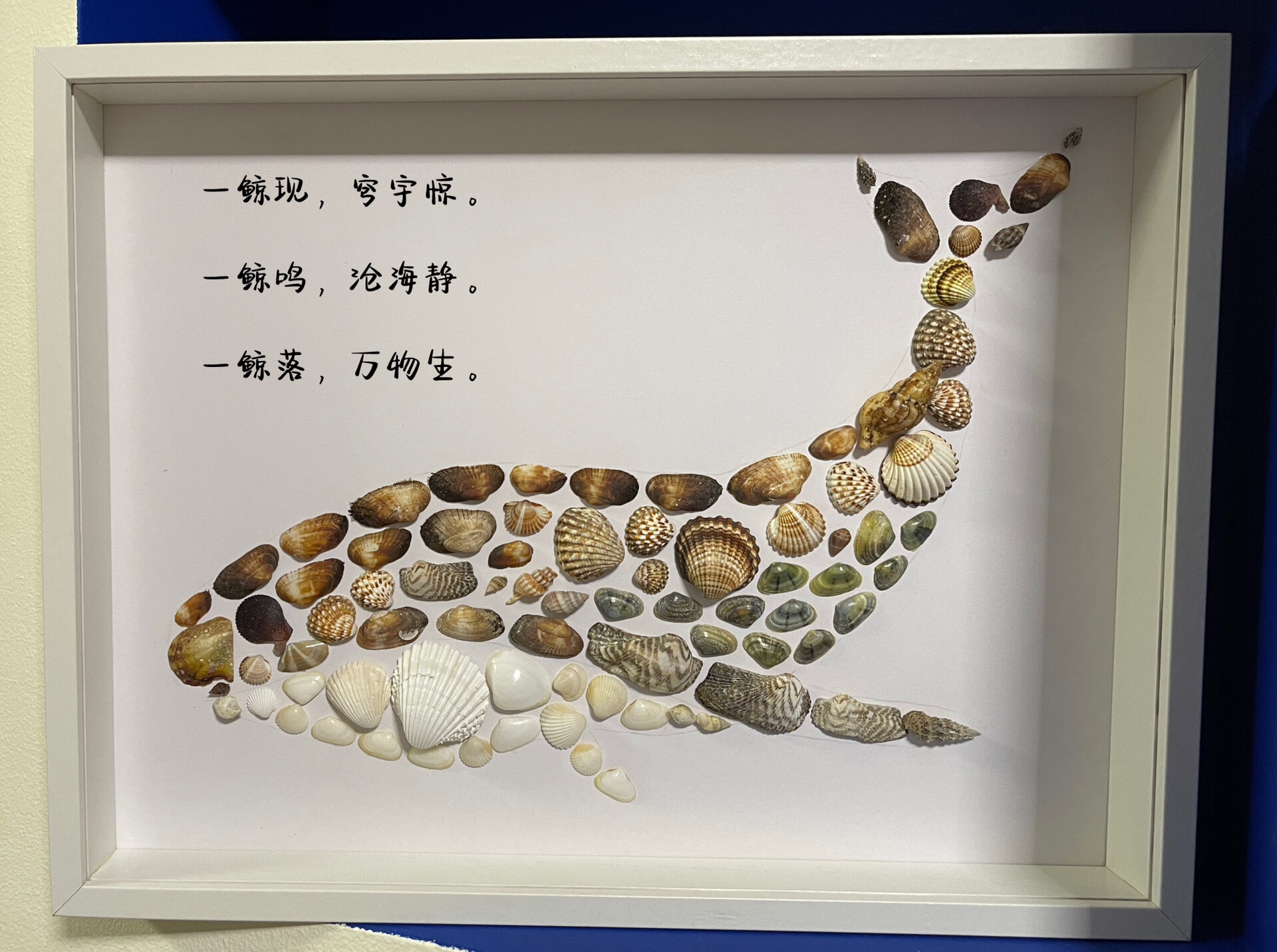 贝壳画--鲸