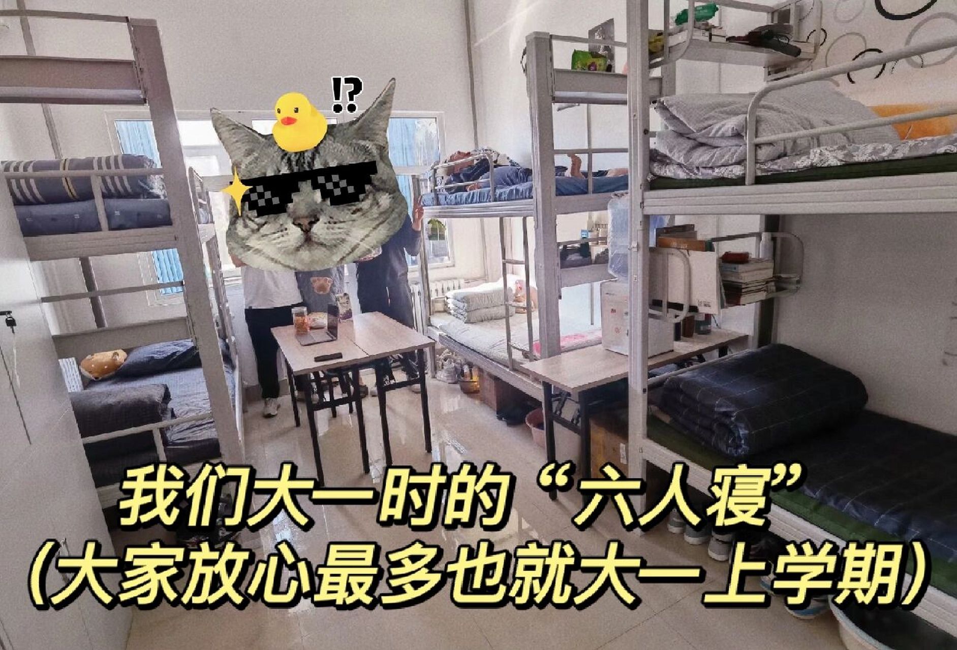 吉林财经大学—会计学院寝室要求细则 小林同学所在的学院就是会计