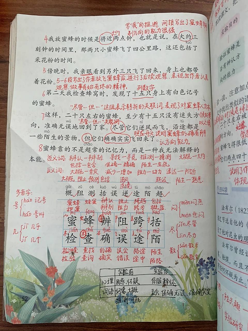 三年级语文下册第14课《蜜蜂》笔记   新的一周 一定要元气满满的 好