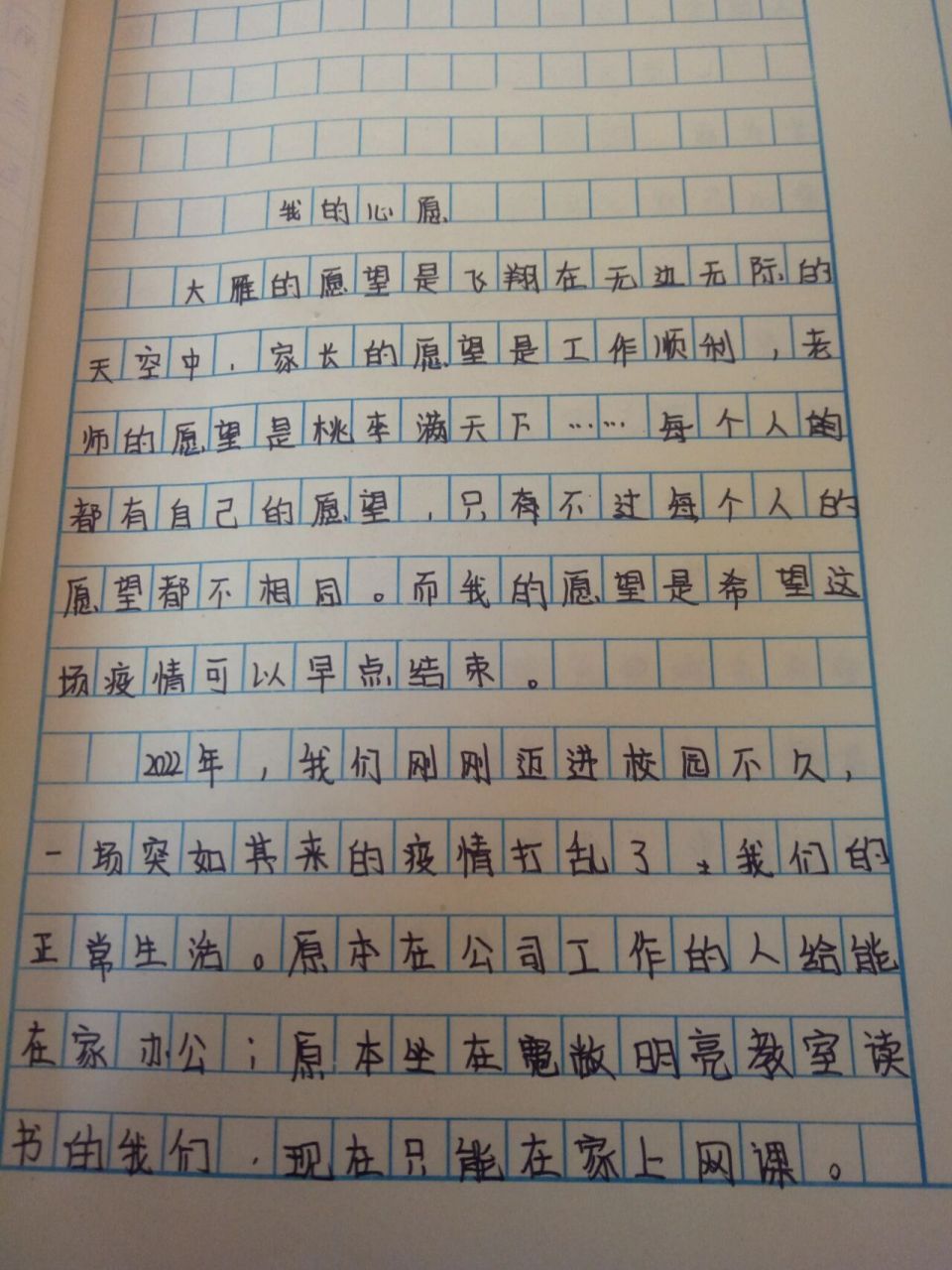 六年级下册语文第三单元作文《我的心愿》来