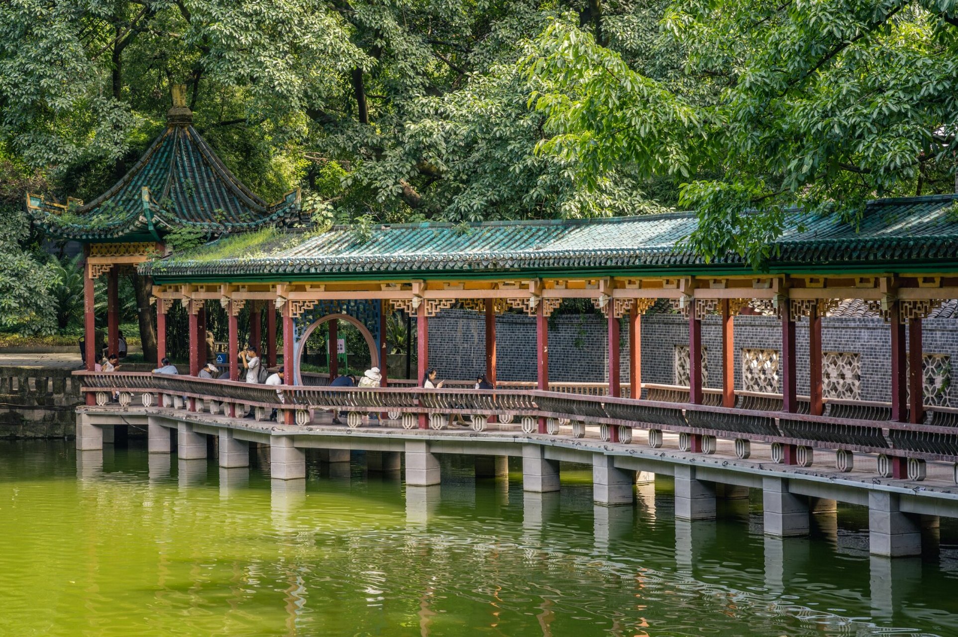 古风韵——鹅岭公园 这里是重庆市渝中区鹅岭公园!