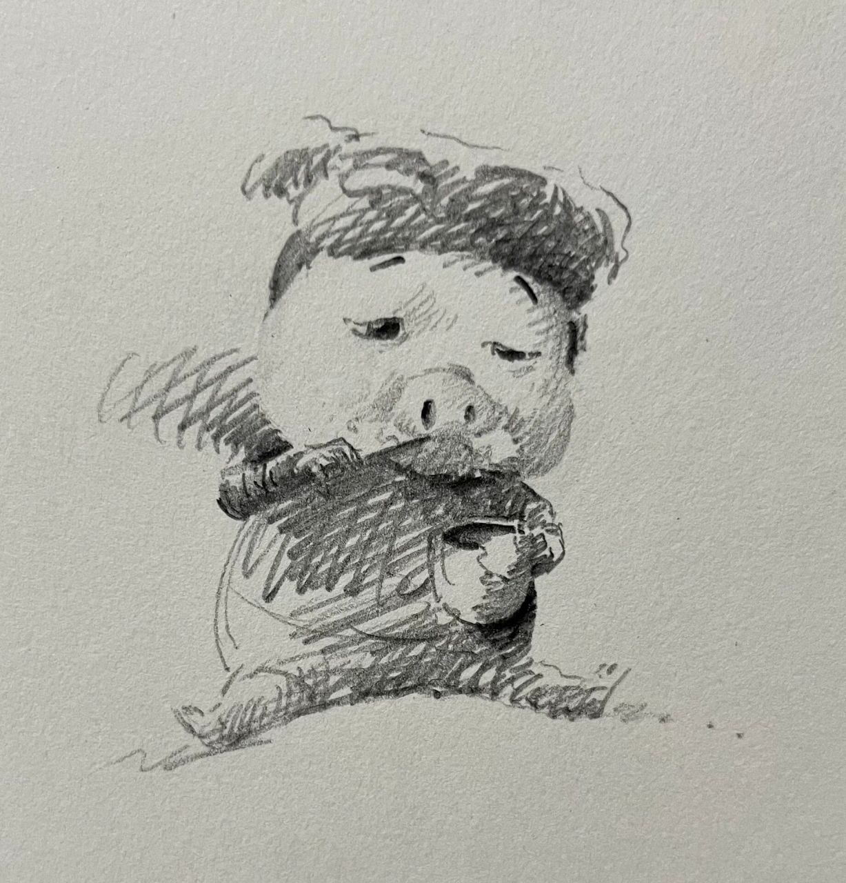 谁教你这么画猪猪侠的?