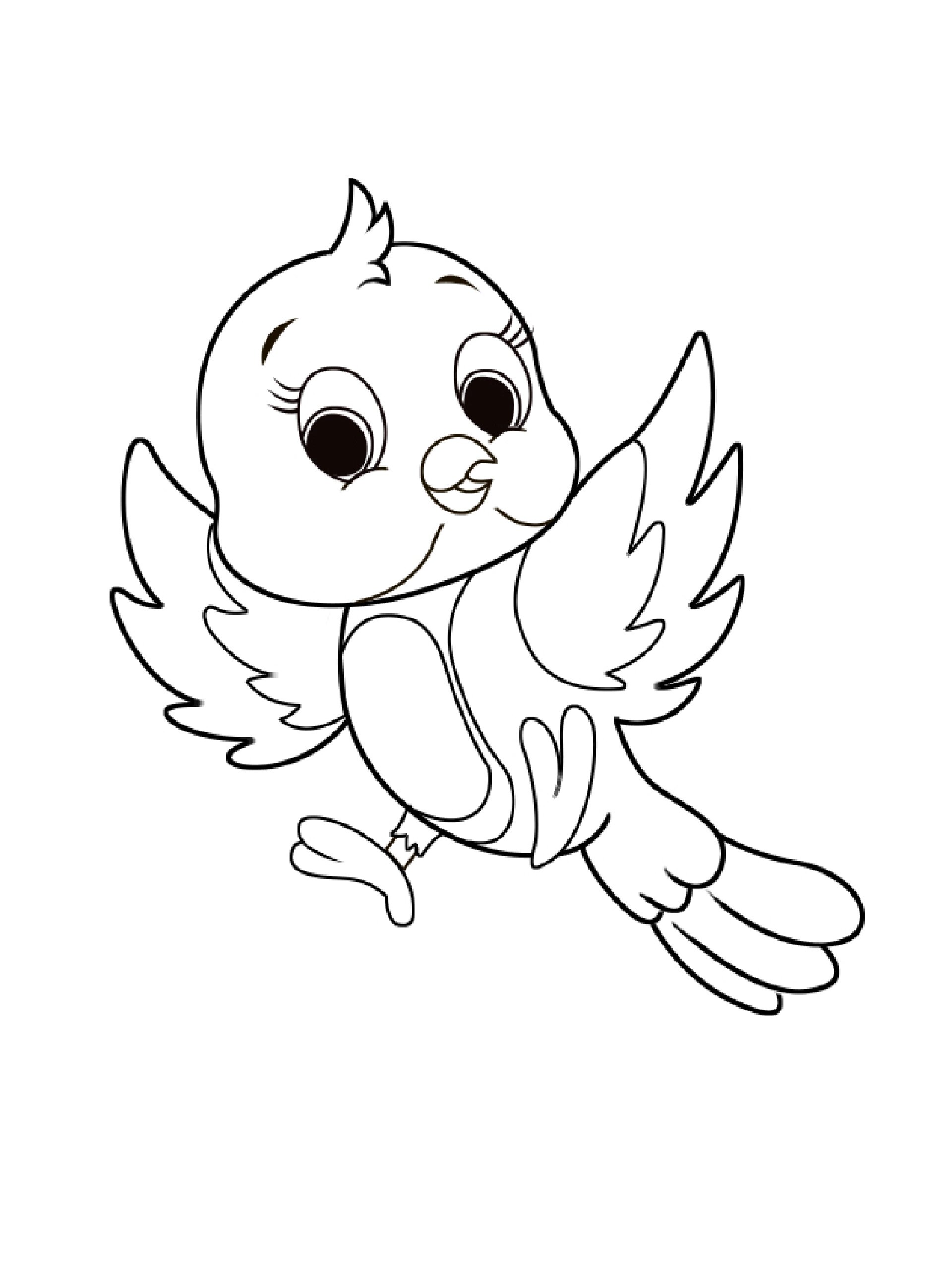 儿童简笔画|小鸟