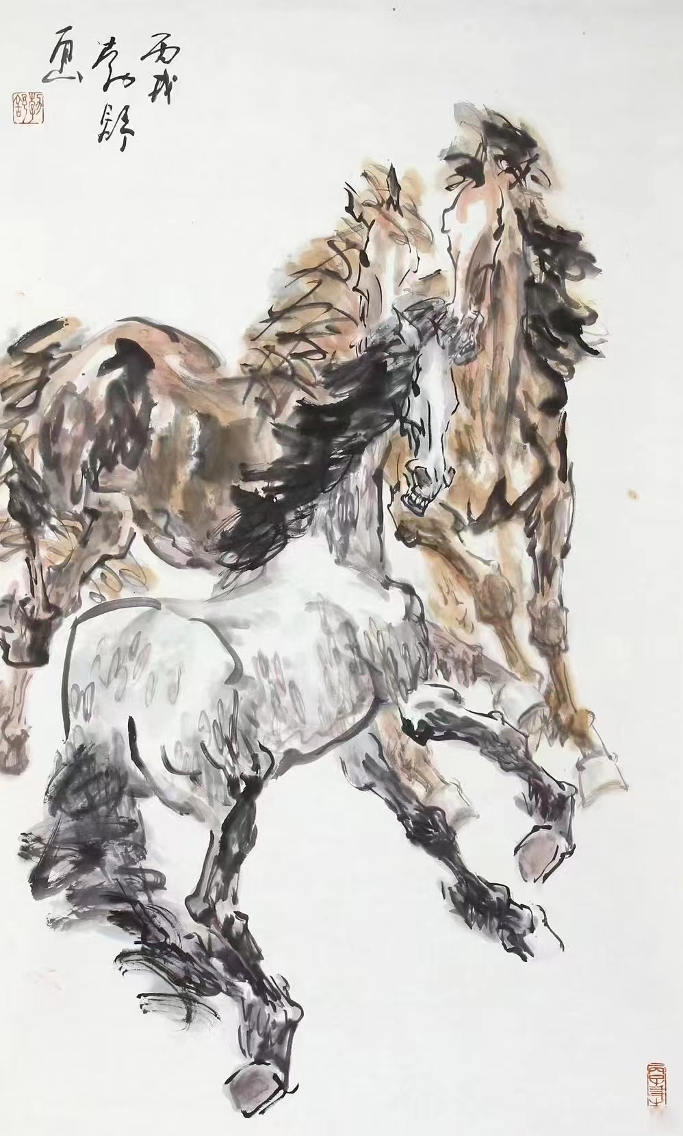 无论是装饰家居,还是收藏